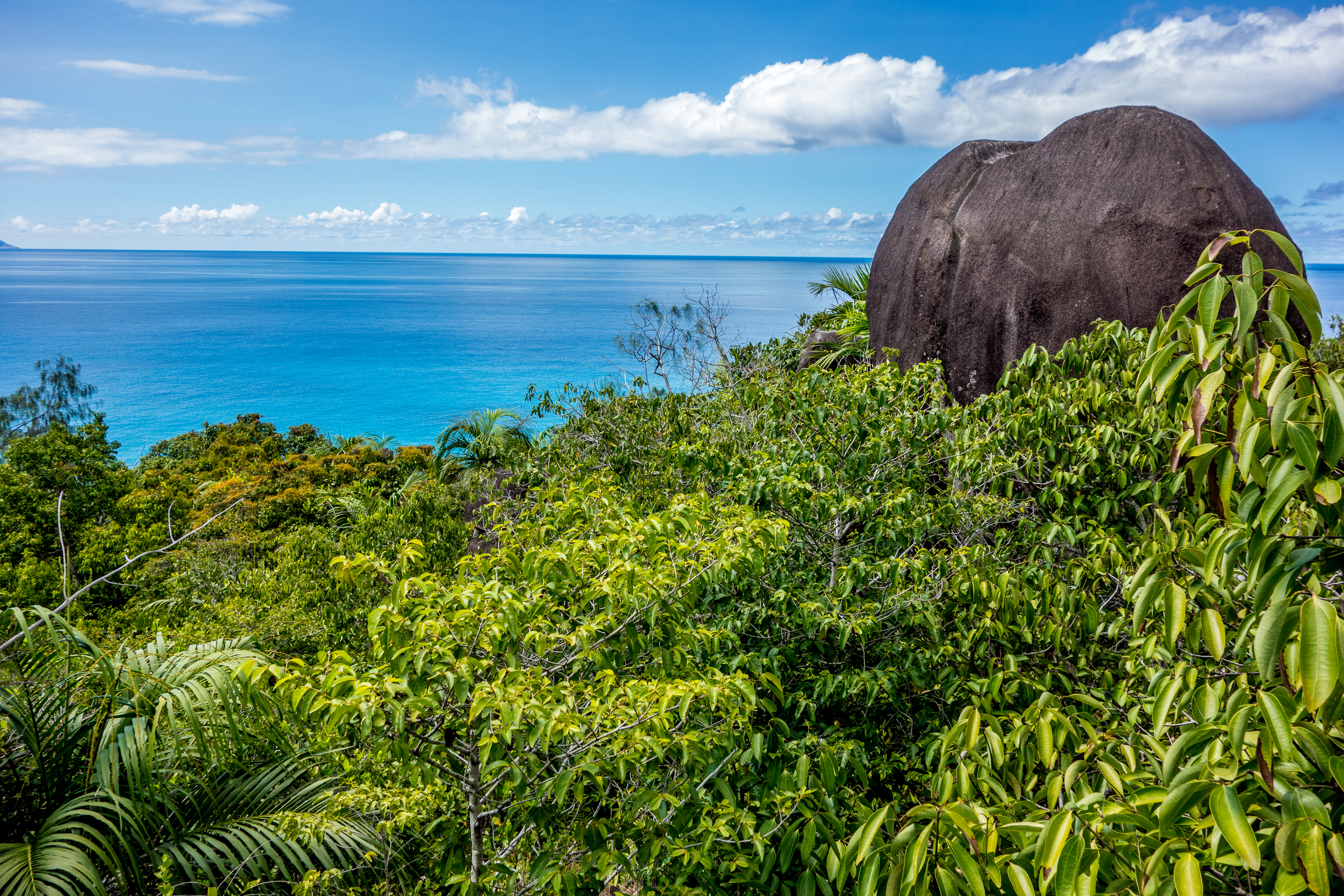 Morne Seychellois National Park In Mahe Seychelles Main Island
