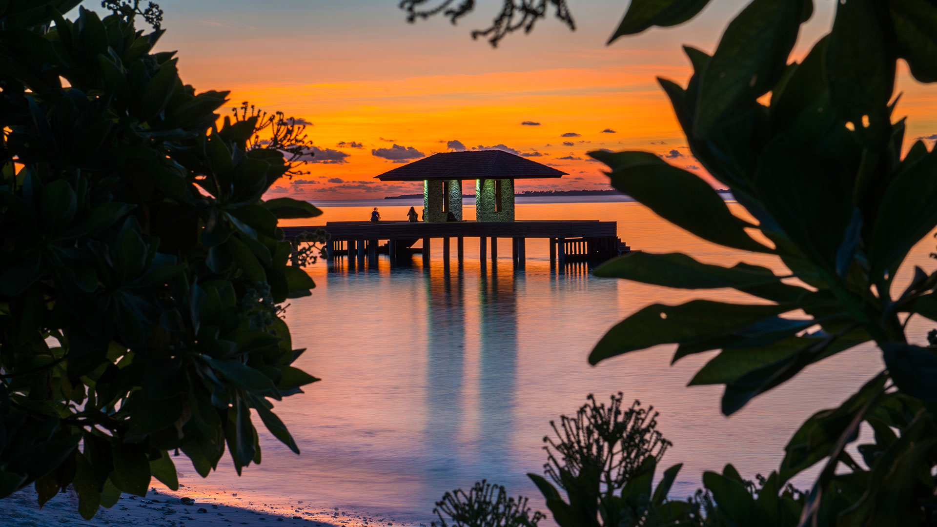 Jetty 0001 1920X1080