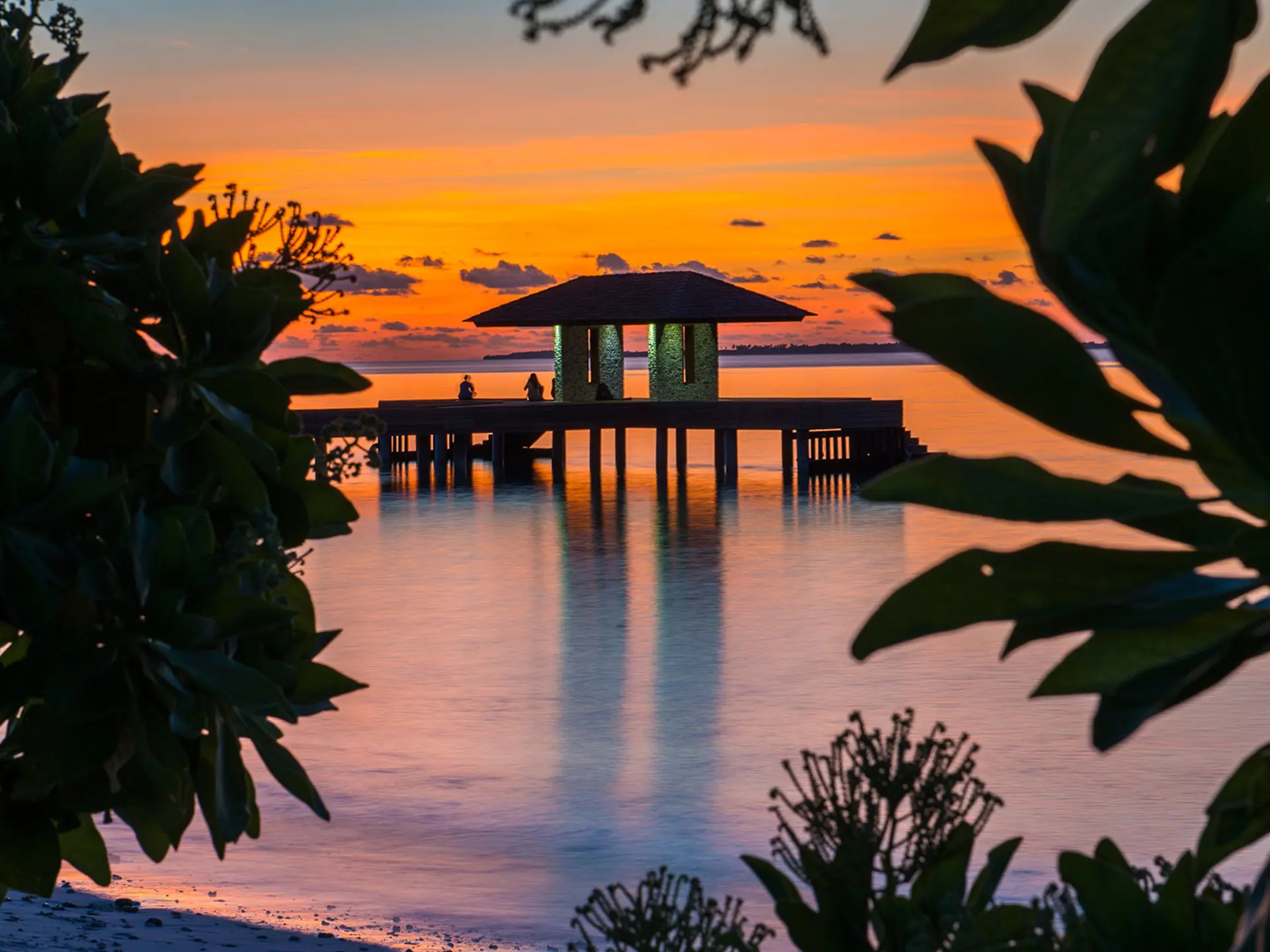 Jetty 0001 1920X1080