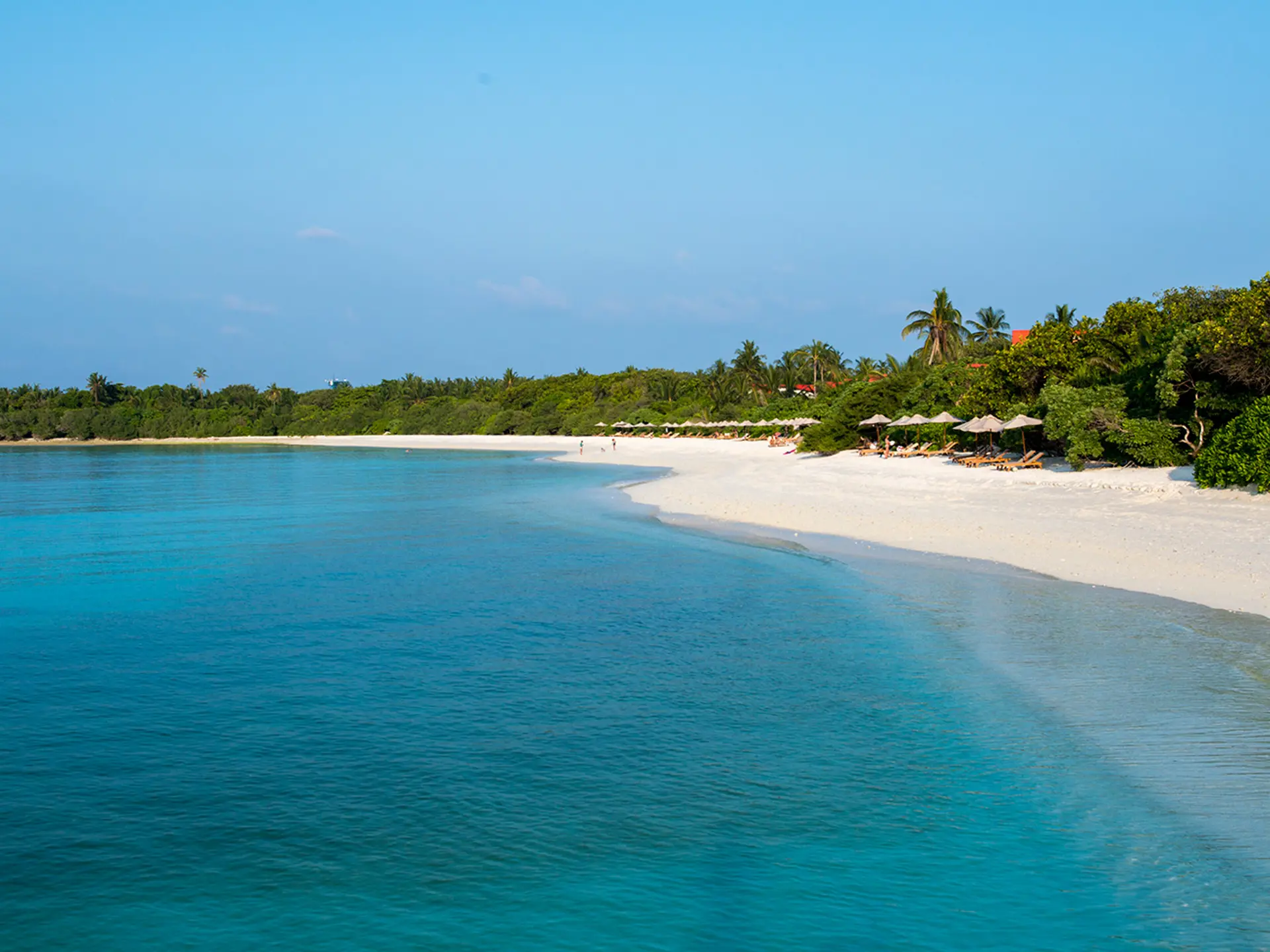 Maldives The Barefoot 0115