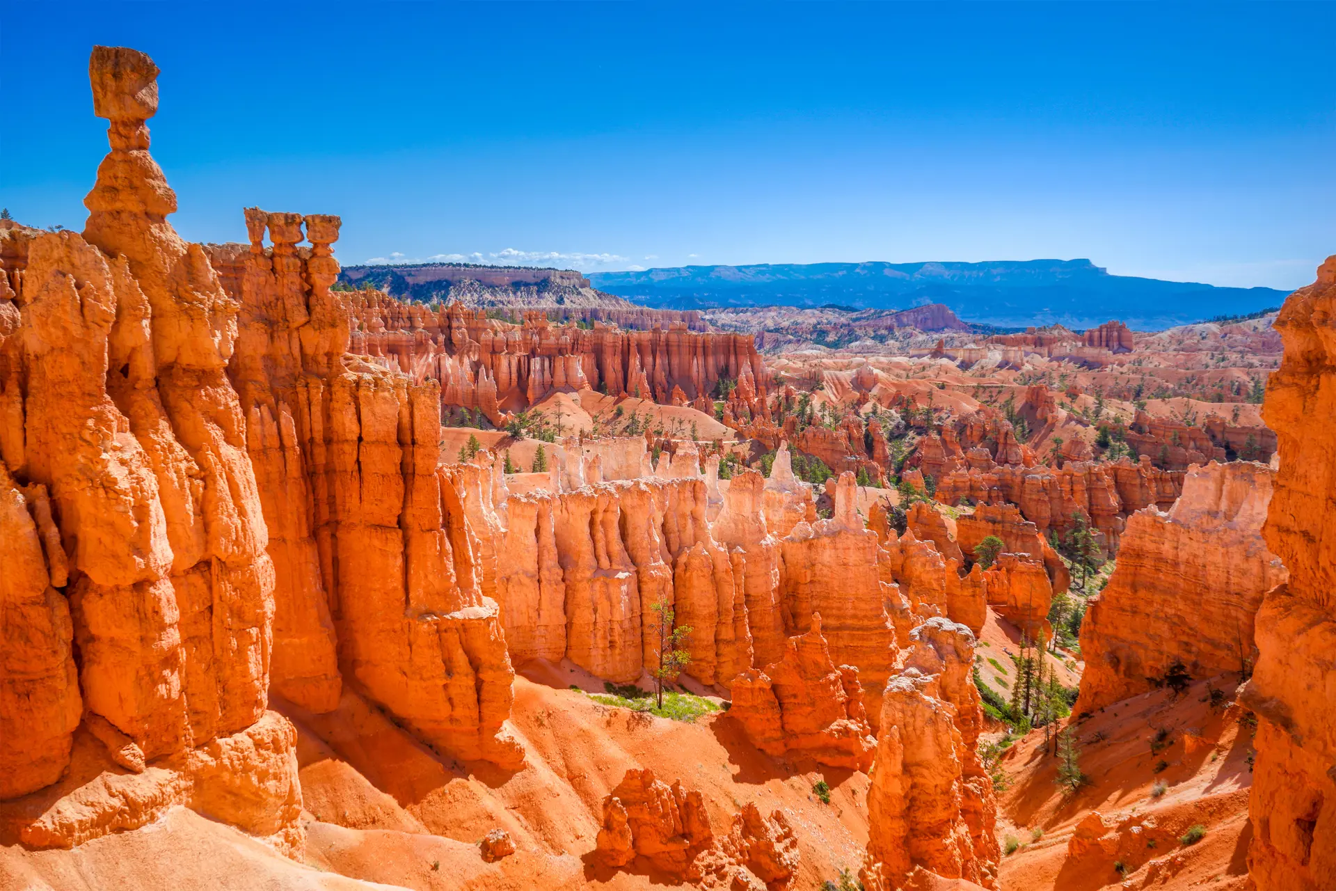 shutterstock_232015471 The Bryce Canyon National Park, Utah, United States.jpg