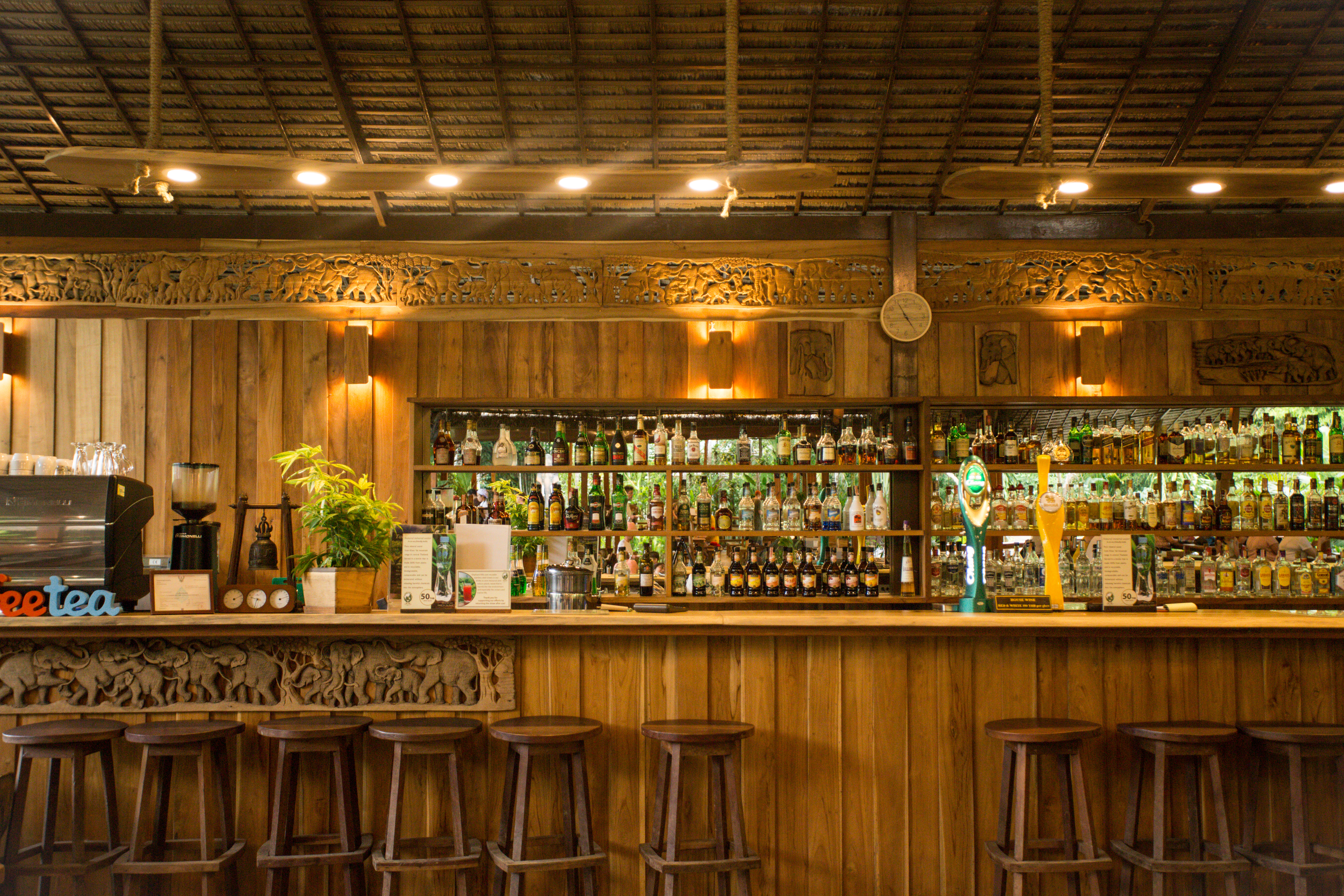 F6 Elephant Hills Khao Sok National Park, Thailand, Bar