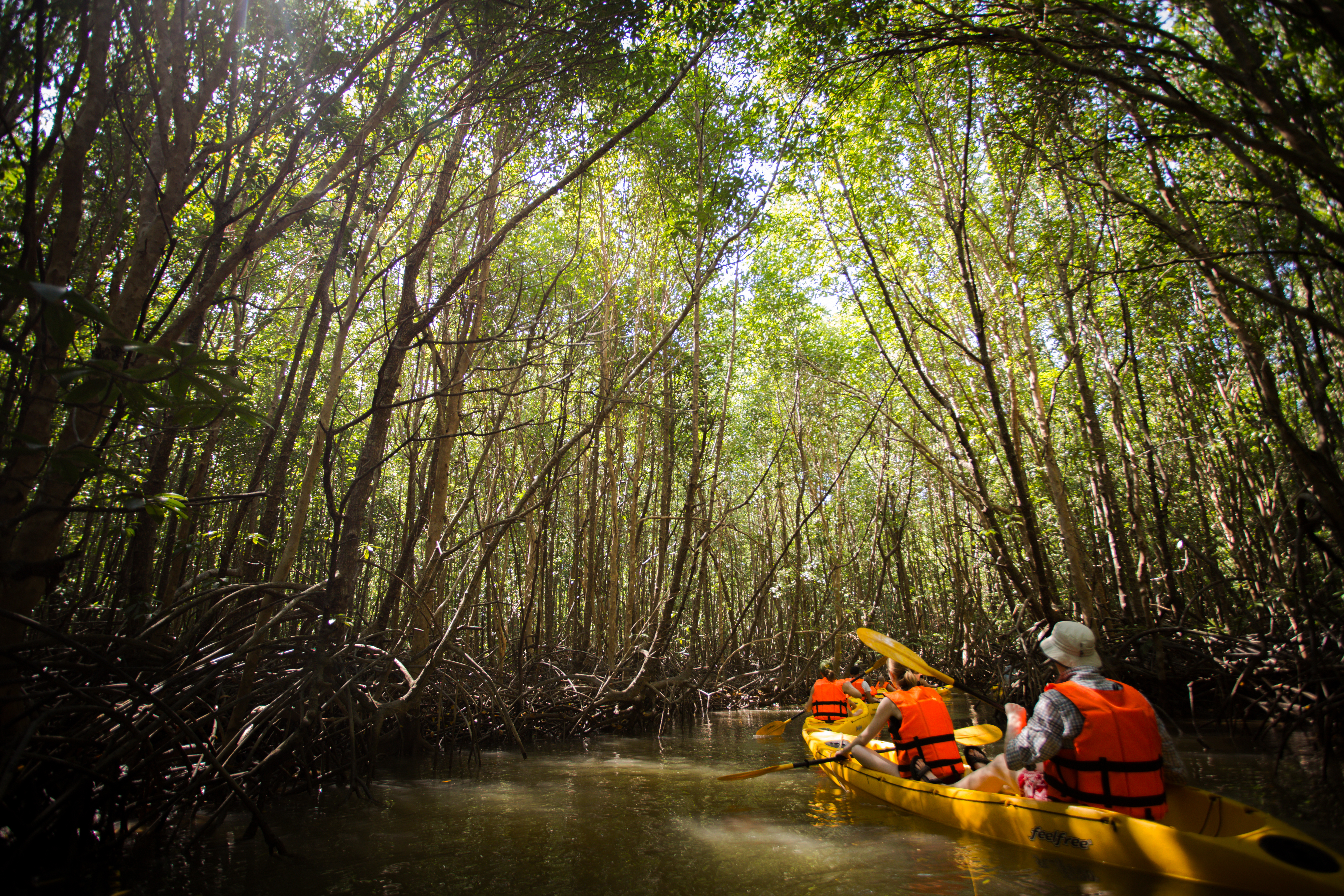 T Elephant Hills Luxury Tented Camp Khao Sok National Park Thailand Nature Safari Tour (NS4) 2