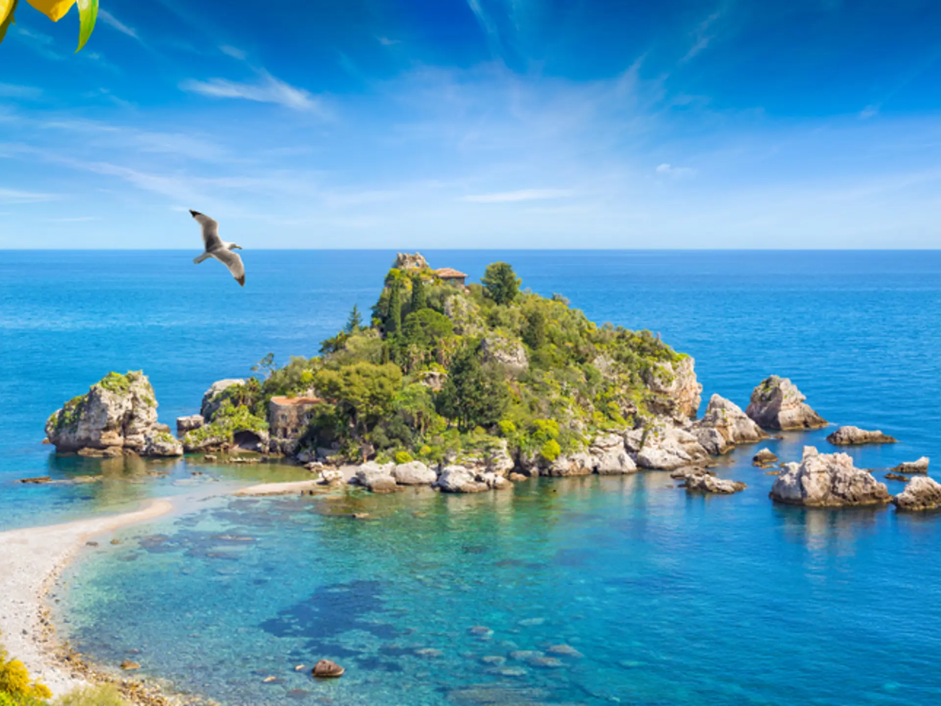 Shutterstock 1440813638