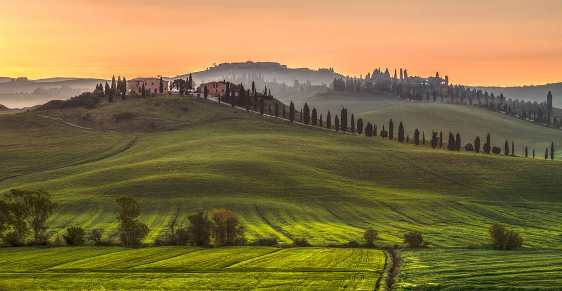 Shutterstock 751114954