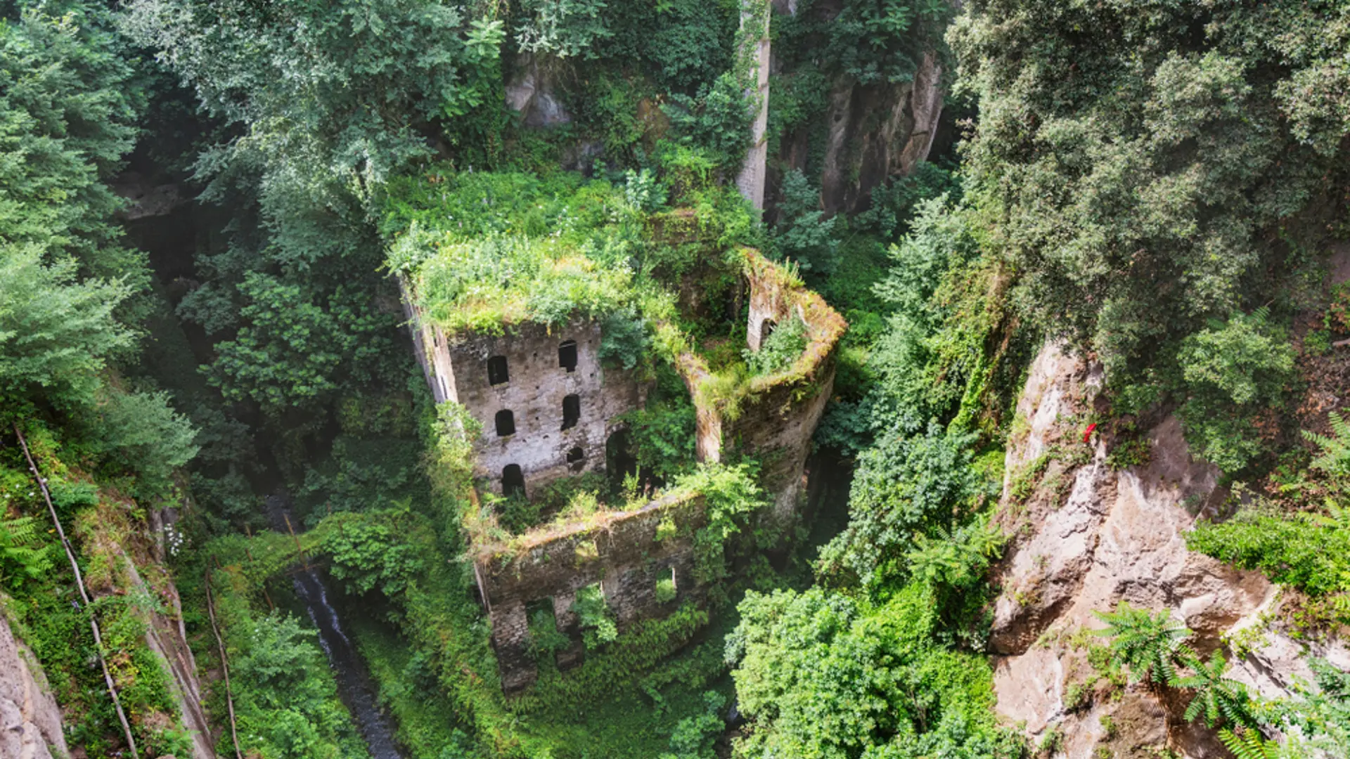 Shutterstock 1138570157