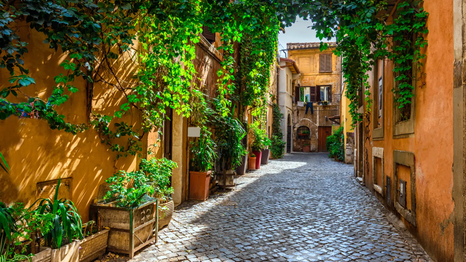 Shutterstock 1005998212