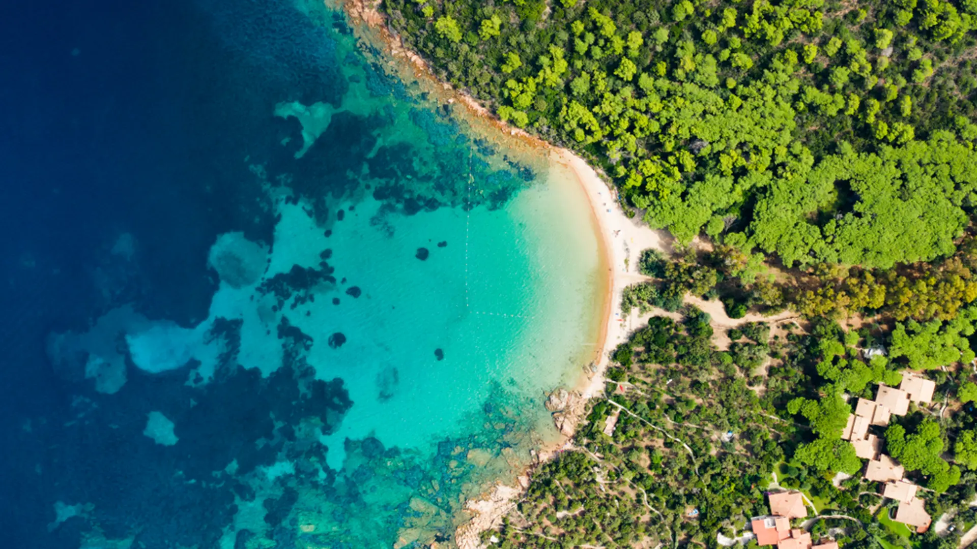 Shutterstock 1185826321