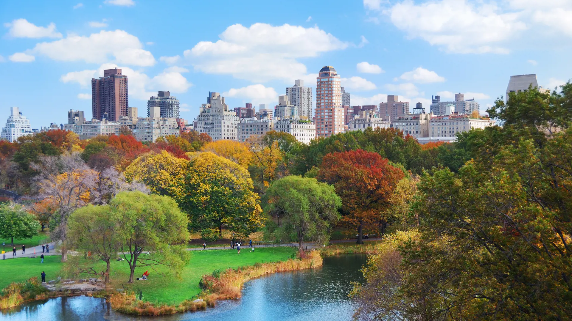 New York City Manhattan Central Park.jpg