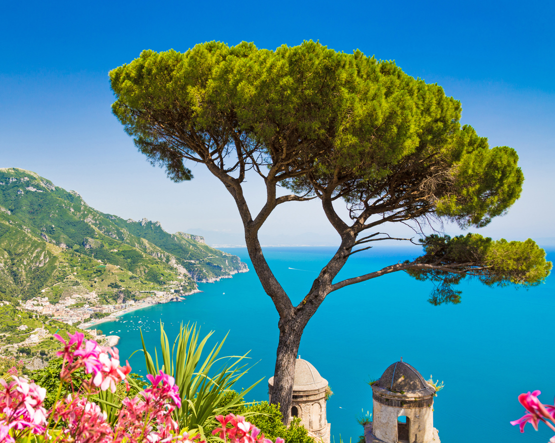 Ravello Tree