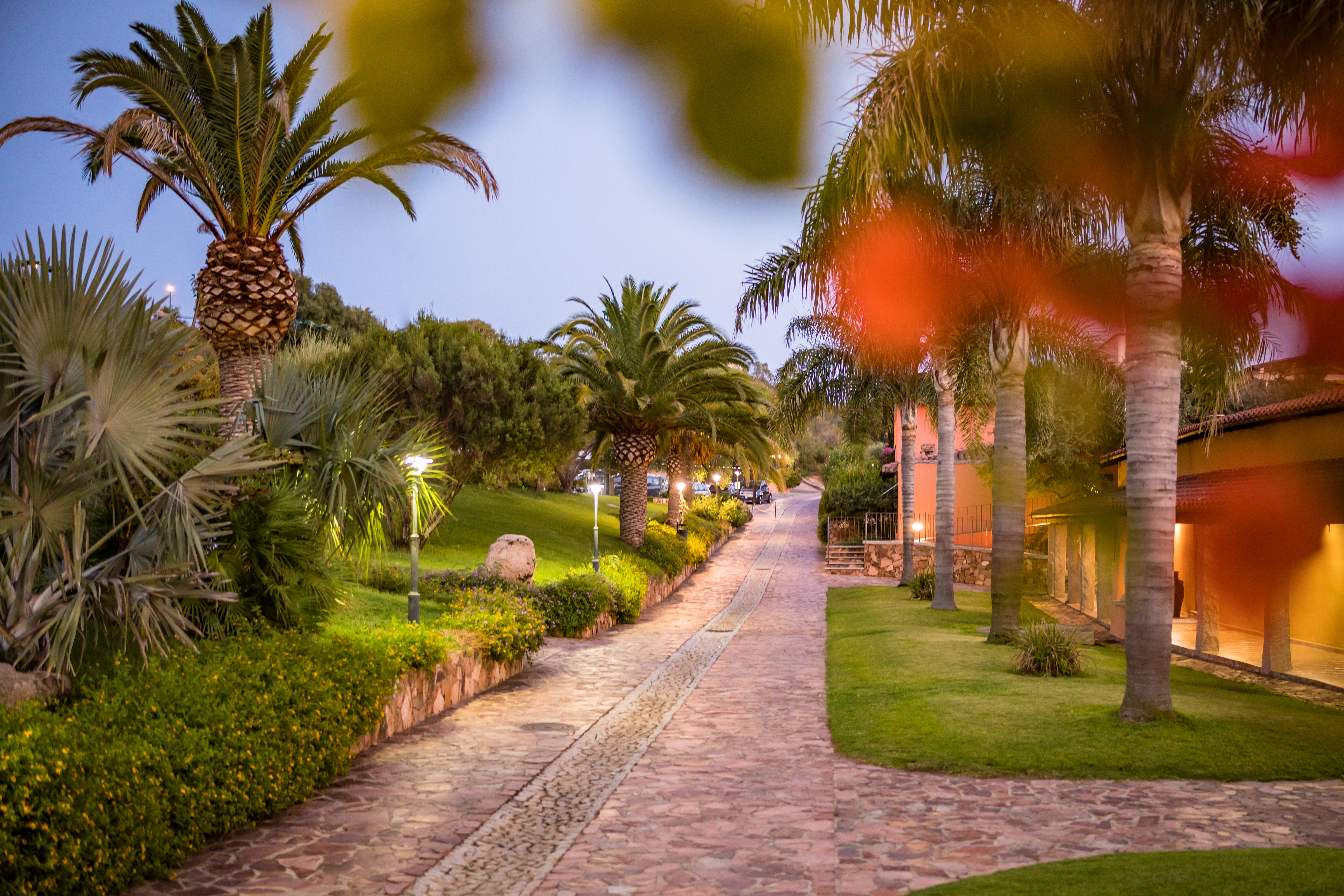 Club Saraceno Bovis (C)Helene Schleining 2020 (17 Von 24)