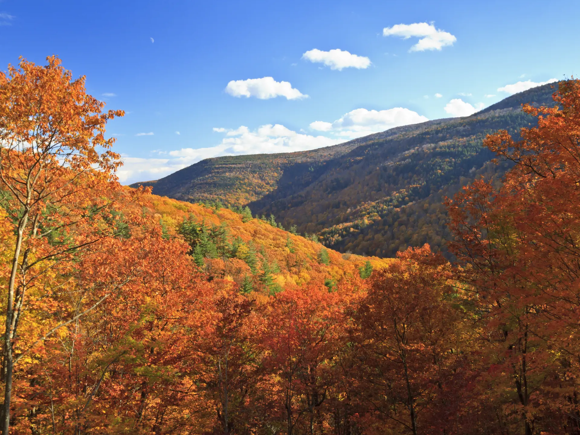 dag 6.shutterstock_116889145 Colorful autumn foliage in Kaaterskill Clove in the Catskills Mountains of New York.jpg