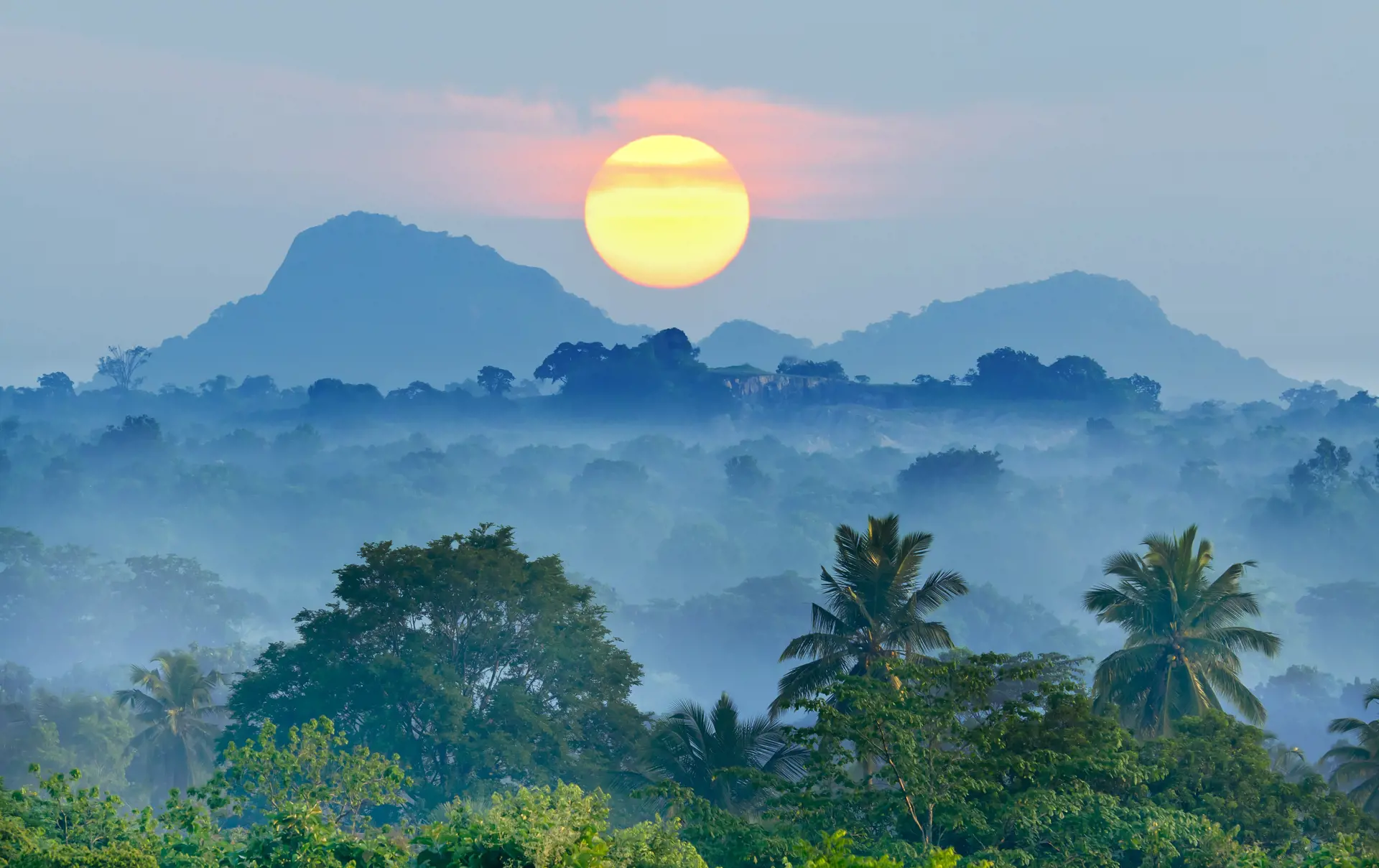 sunrise in the jungles of Sri Lanka.jpg