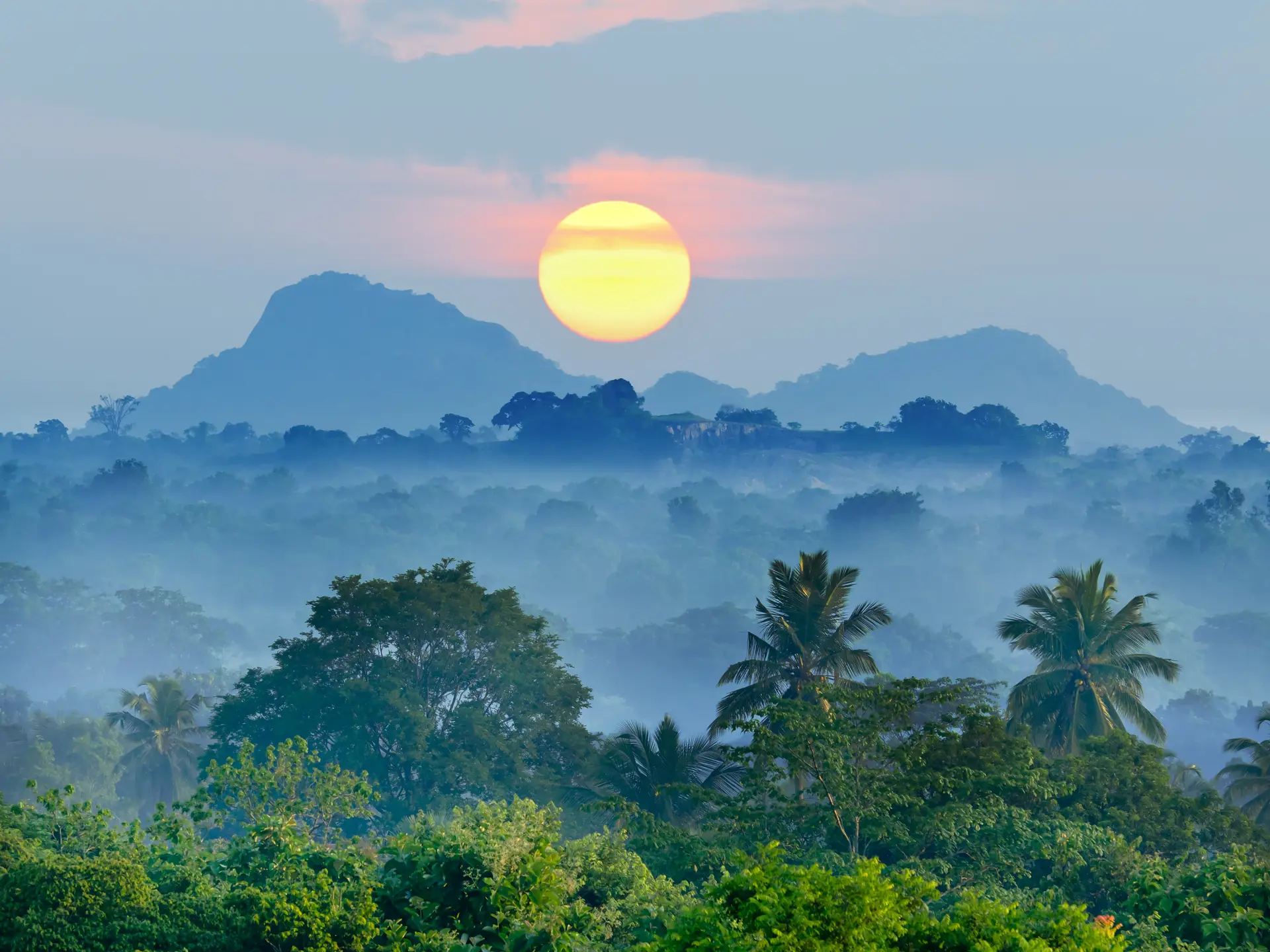 sunrise in the jungles of Sri Lanka.jpg