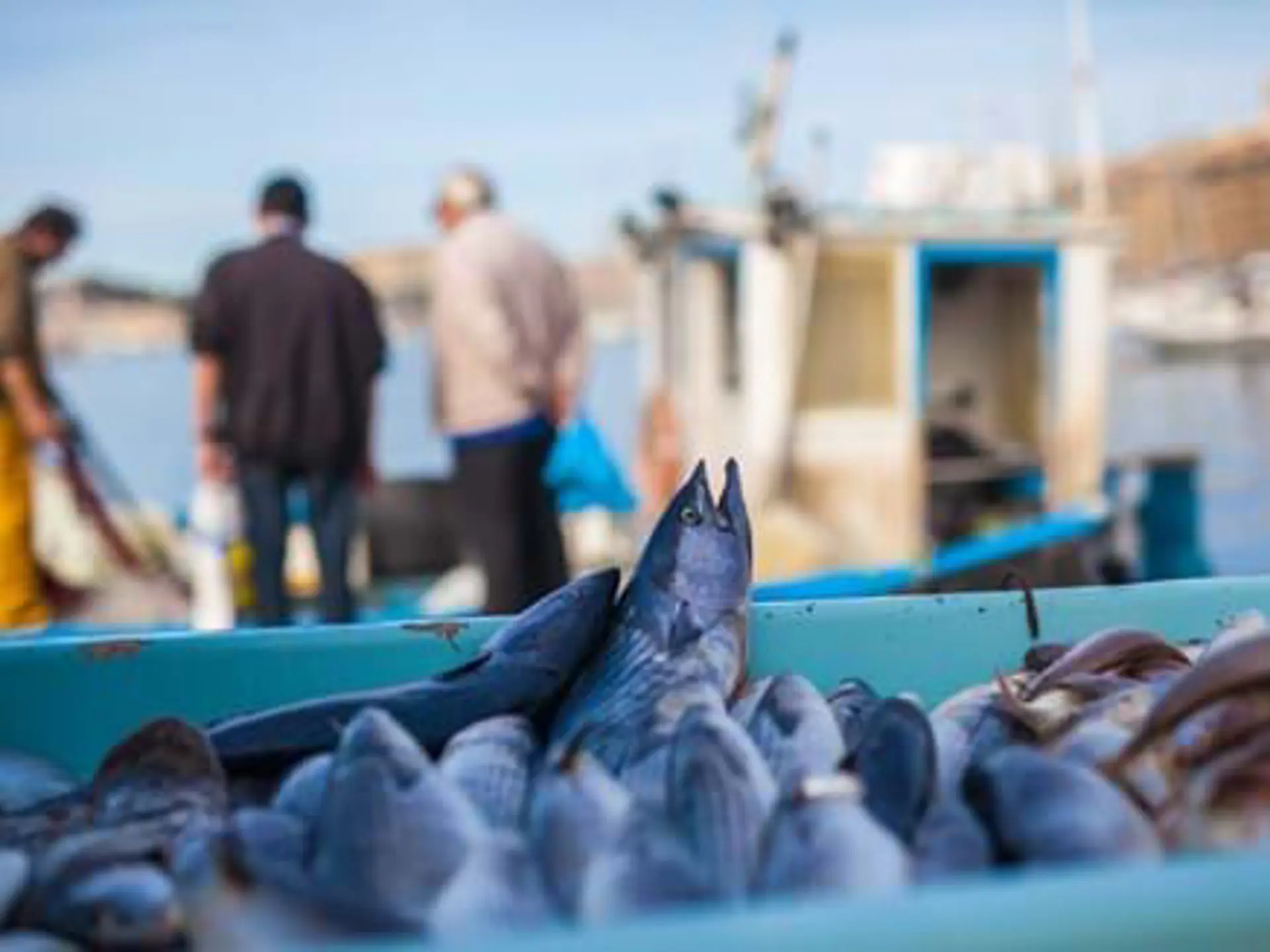 Adobestock 167767619