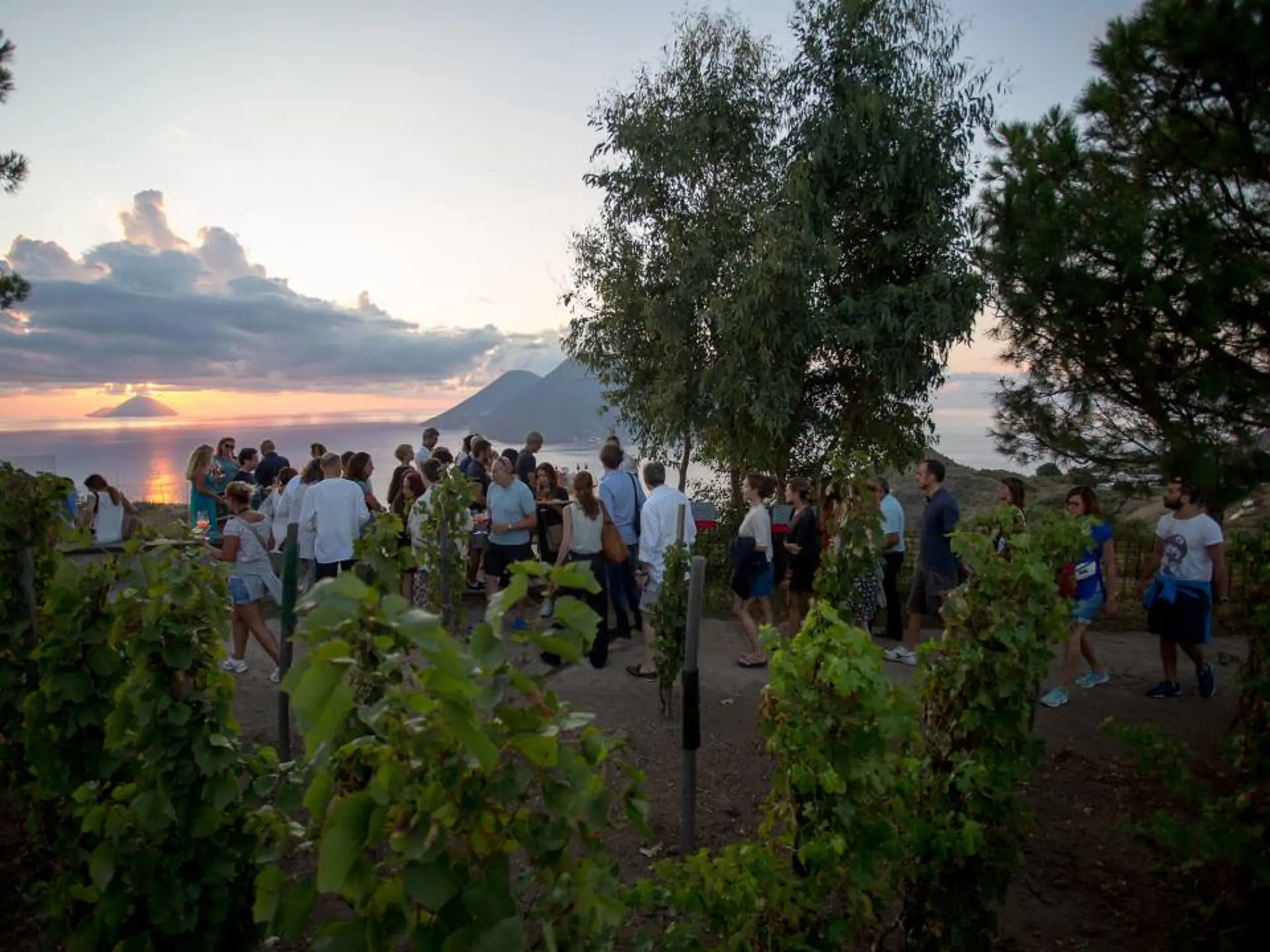 Tenuta Di Castellaro Vingård På Lipari Med Vinsmagning, Solnedgang Og Udsigt