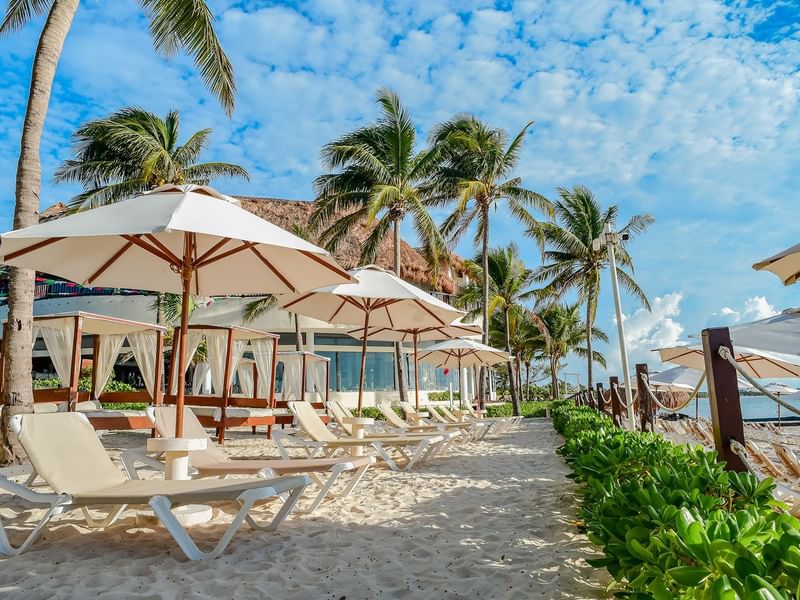 Emf 0870 1800X1200 Standard