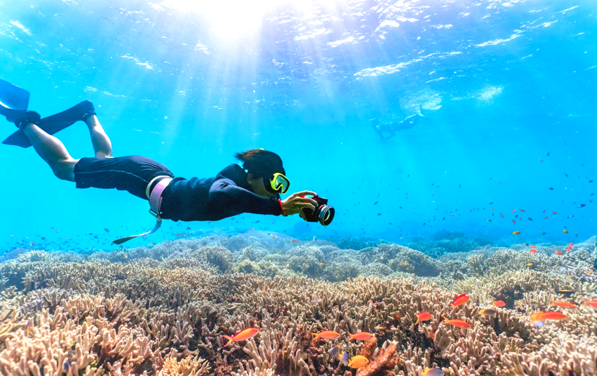 Gili Snorkel