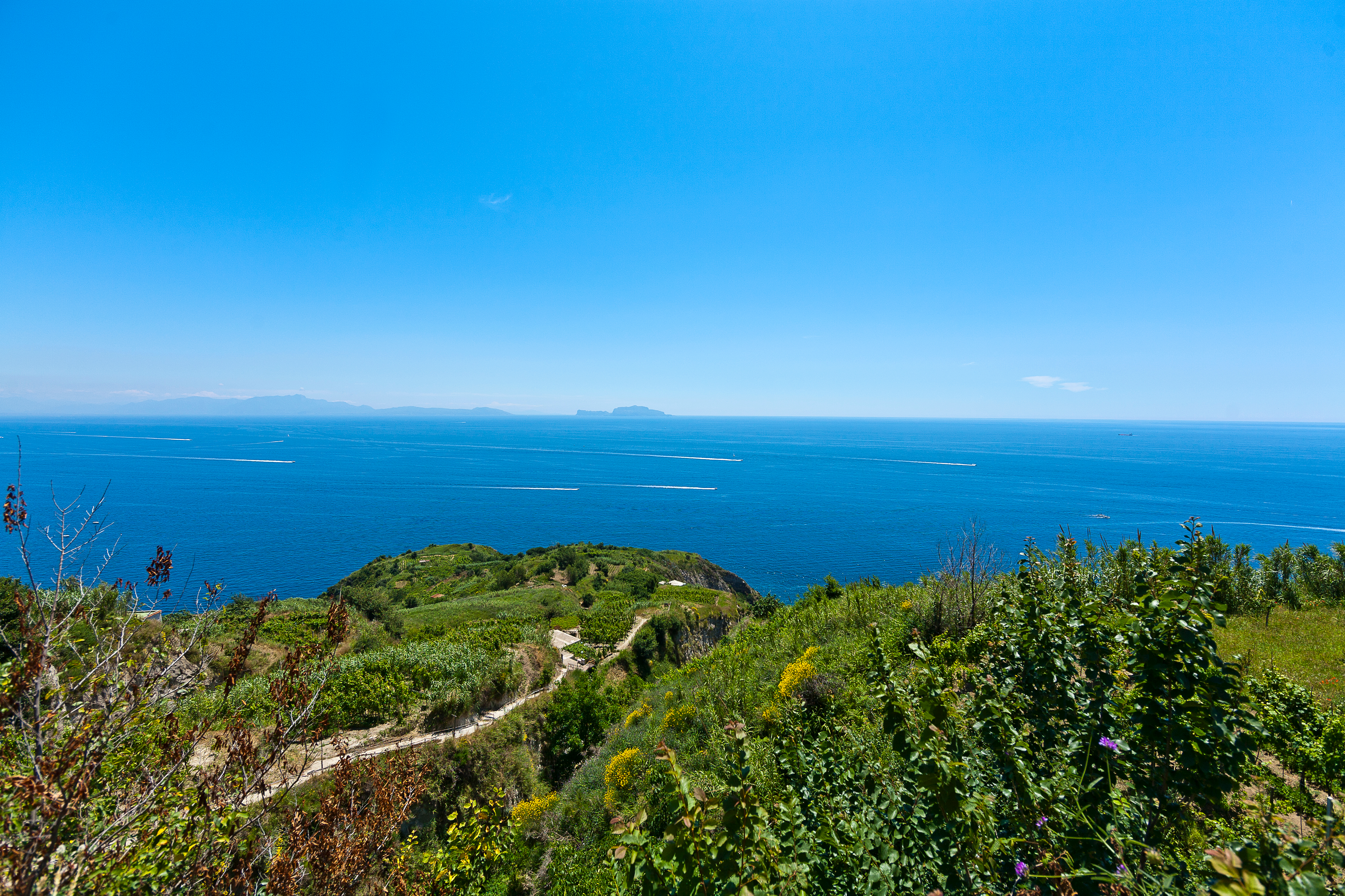 Vakker utsikt over jorder og hav på turstiene ved Piano Liguori på Ischia - I bakgrunnen kan du se Capri