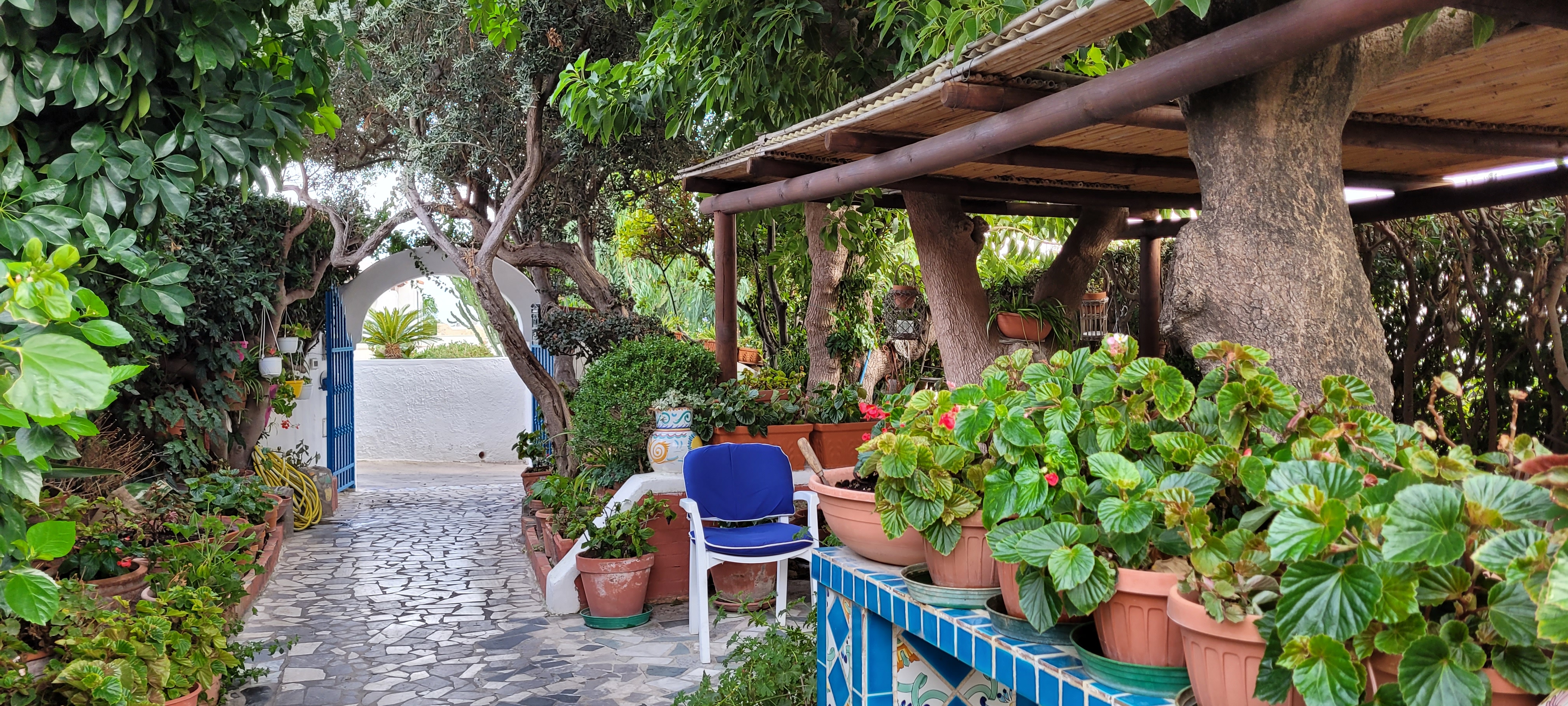 En liten del av den koselige hagen på Hotel Villa Maria på Ischia