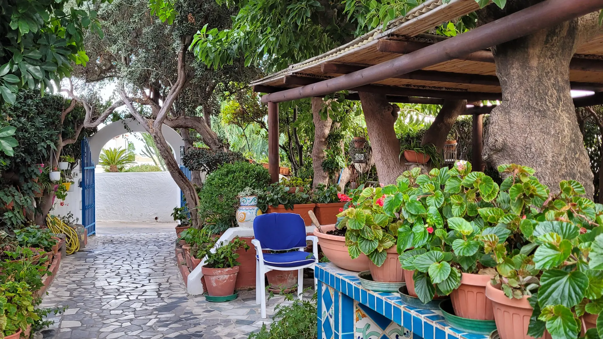 En liten del av den koselige hagen på Hotel Villa Maria på Ischia