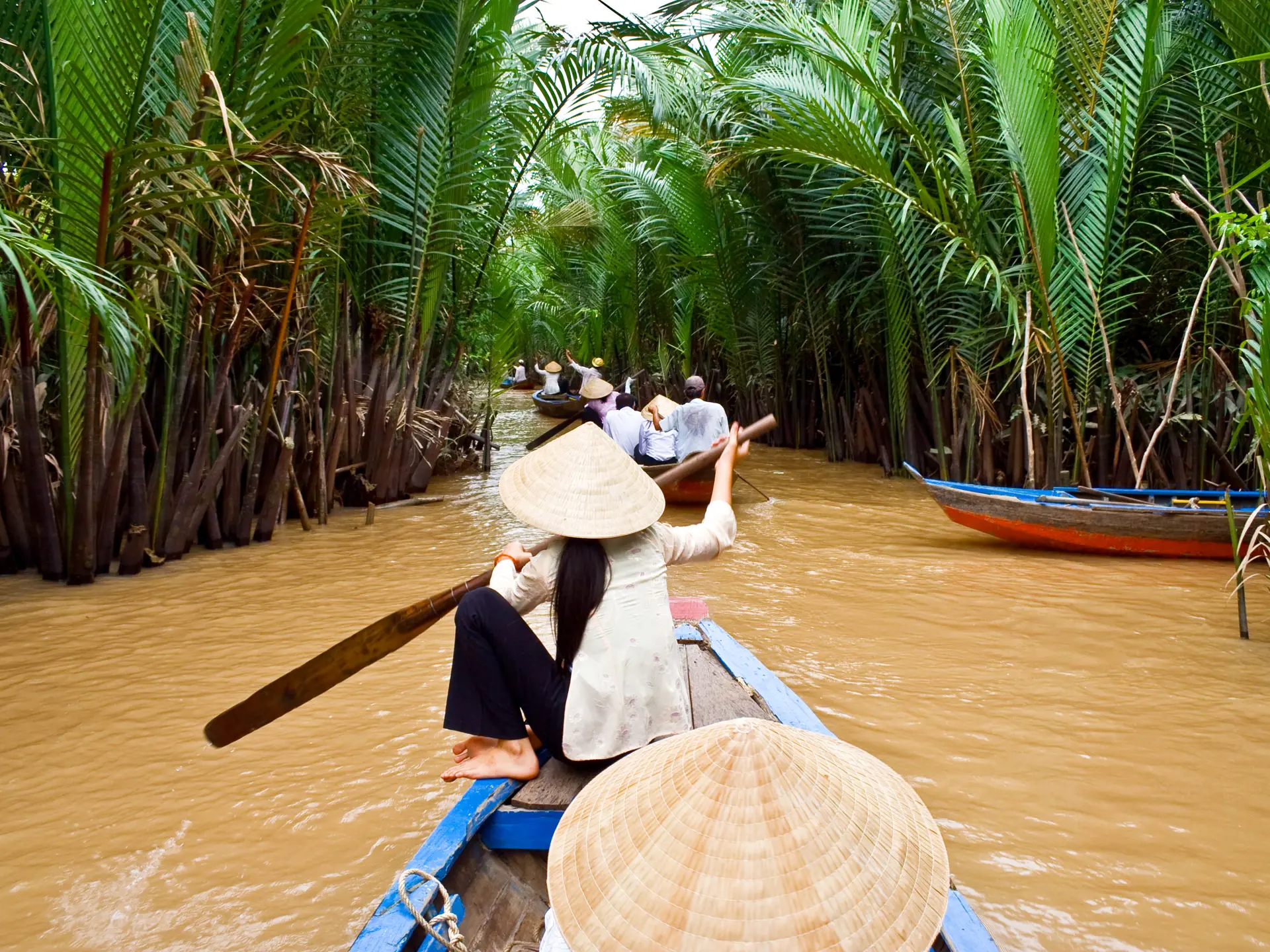 Vietnam_Vietnamese woman rowing a boat in Mekong River_36490156.jpg
