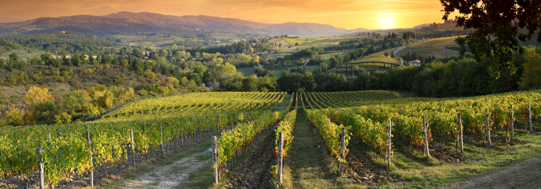 Shutterstock 2000017304 Solen Går Ned Over Vinmarkerne Ved Greve In Chianti