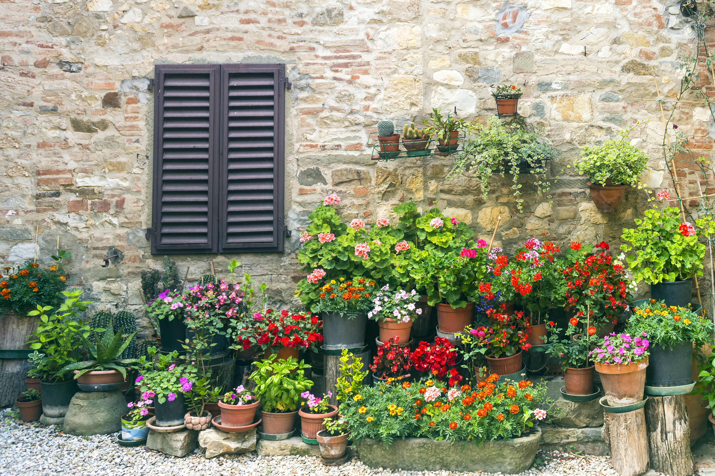 Shutterstock 269920868