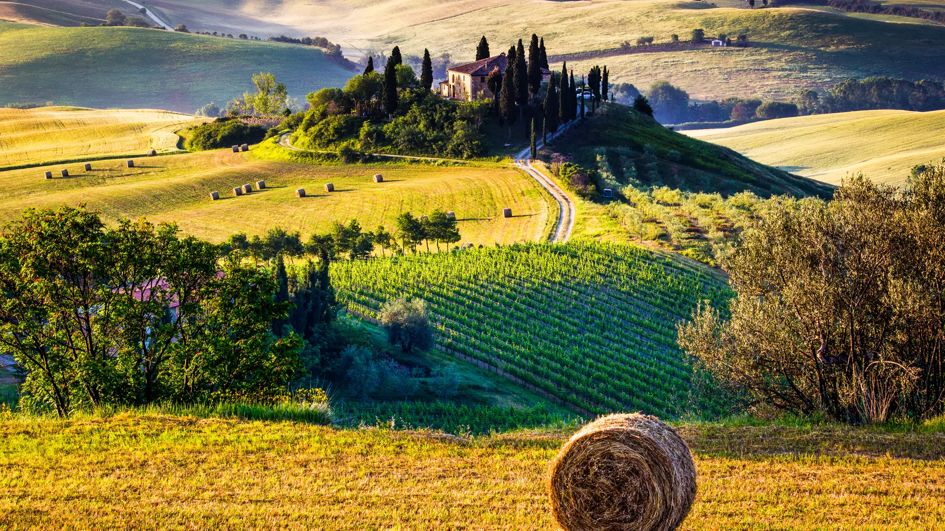 Toscana er vakkert til alle tider av året, og kommer du om høsten er det en deilig ro over området.