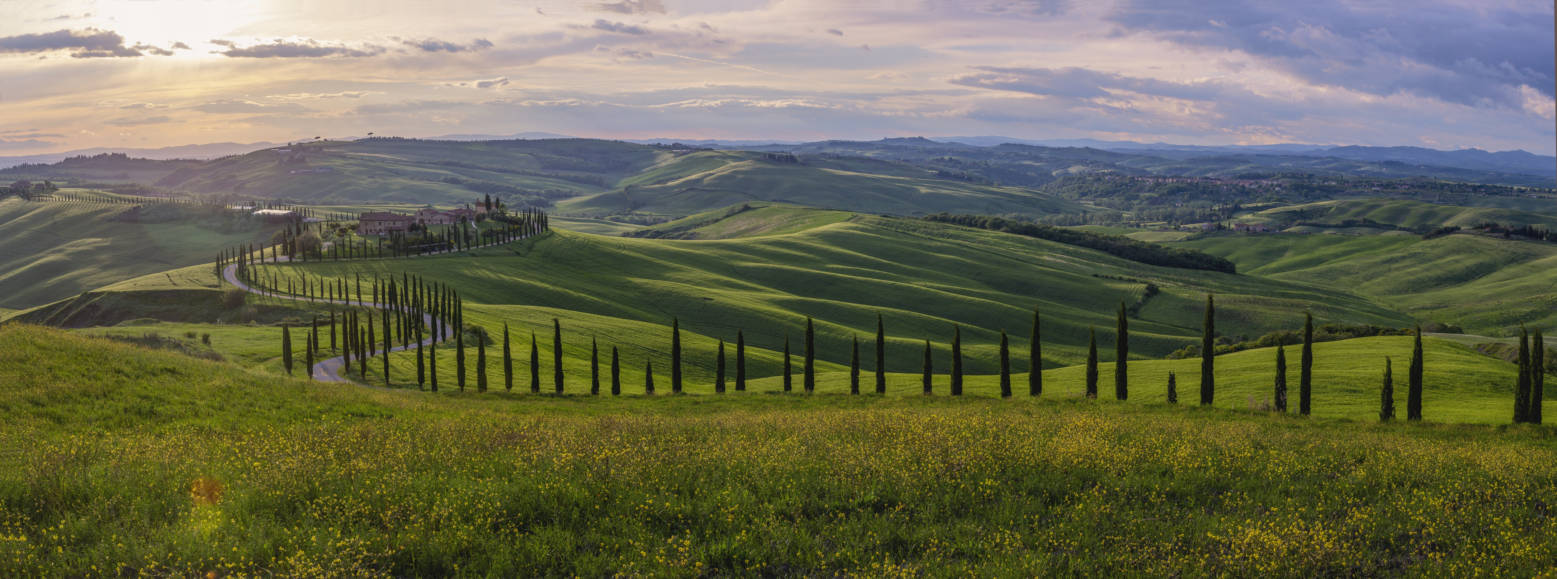 Shutterstock 1920924515 Typisk Toscansk Landskab Med Bølgende Grønne Marker, Pinjealléer Og Middelalderlandsbyer I Det Fjerne