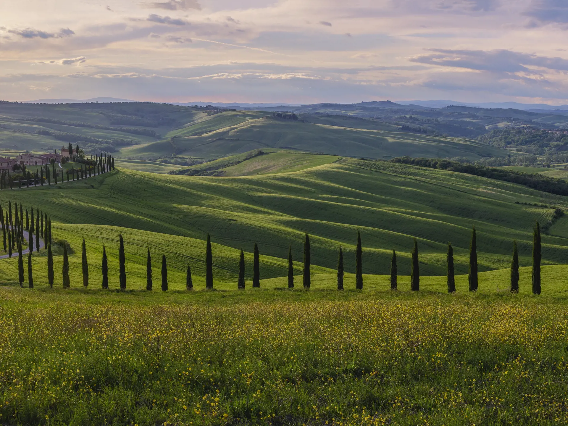 Shutterstock 1920924515 Typisk Toscansk Landskab Med Bølgende Grønne Marker, Pinjealléer Og Middelalderlandsbyer I Det Fjerne