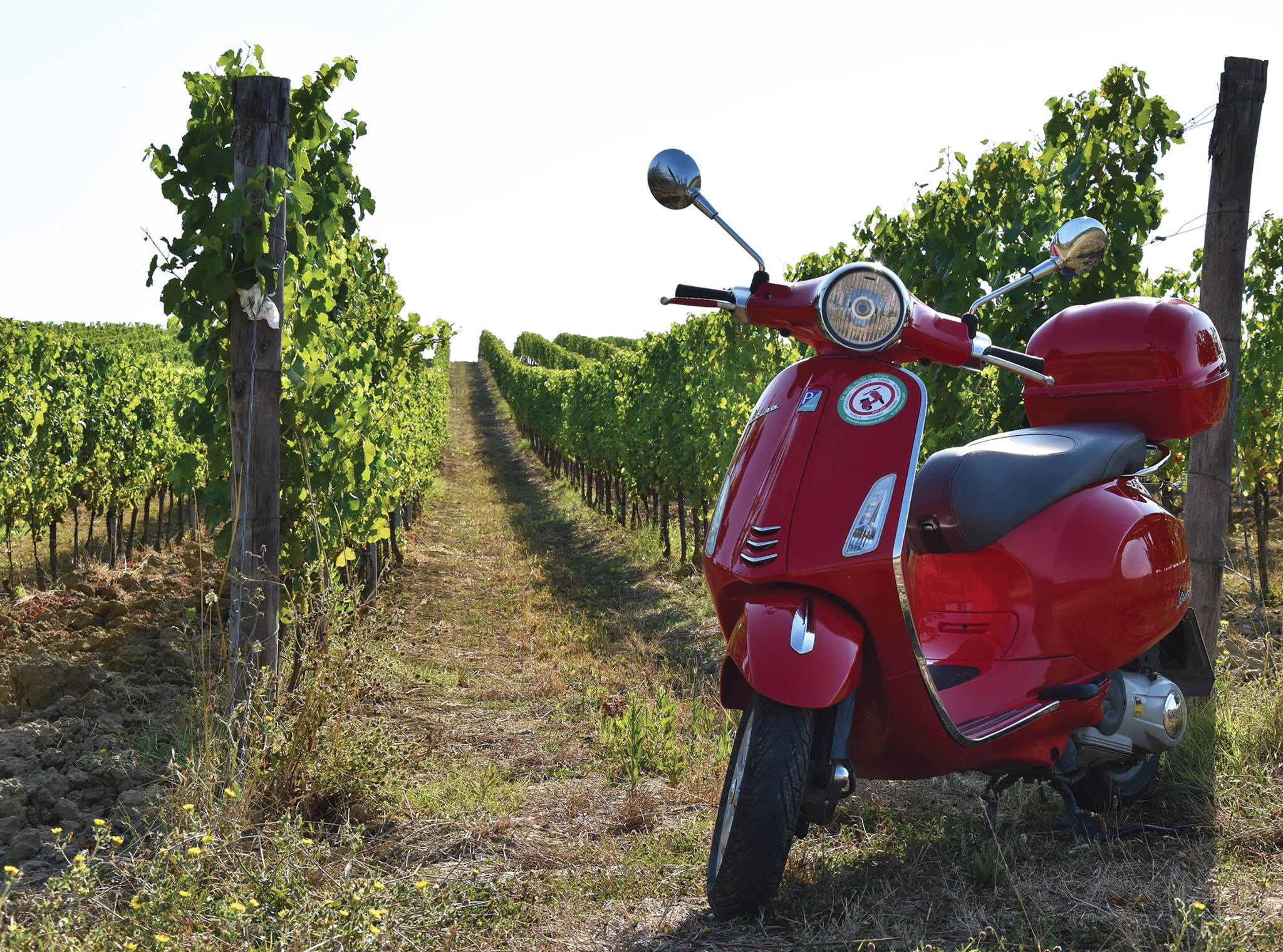 Vingårder og vakre landskap venter på den reisende i Toscana.