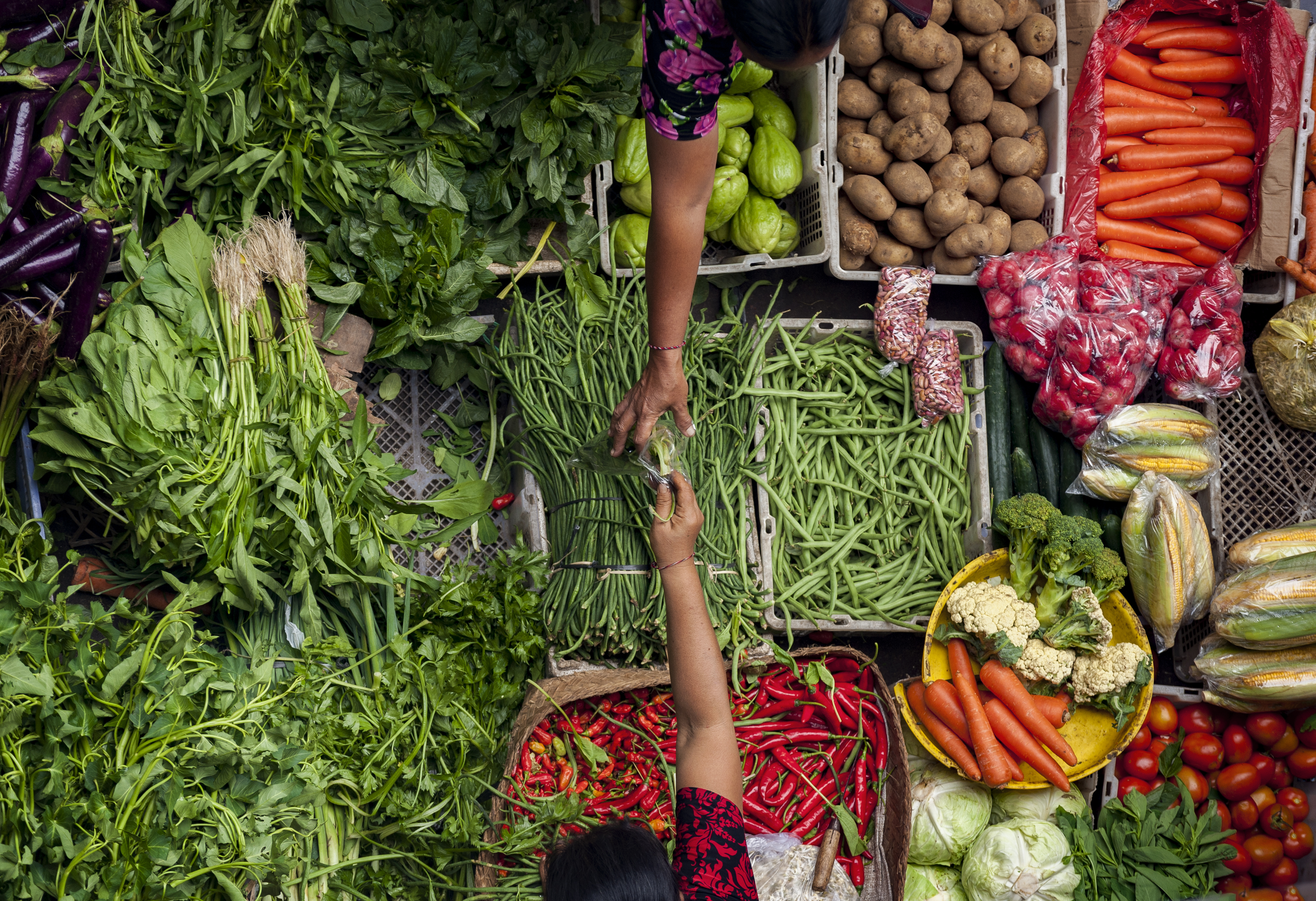 Shutterstock 578631256