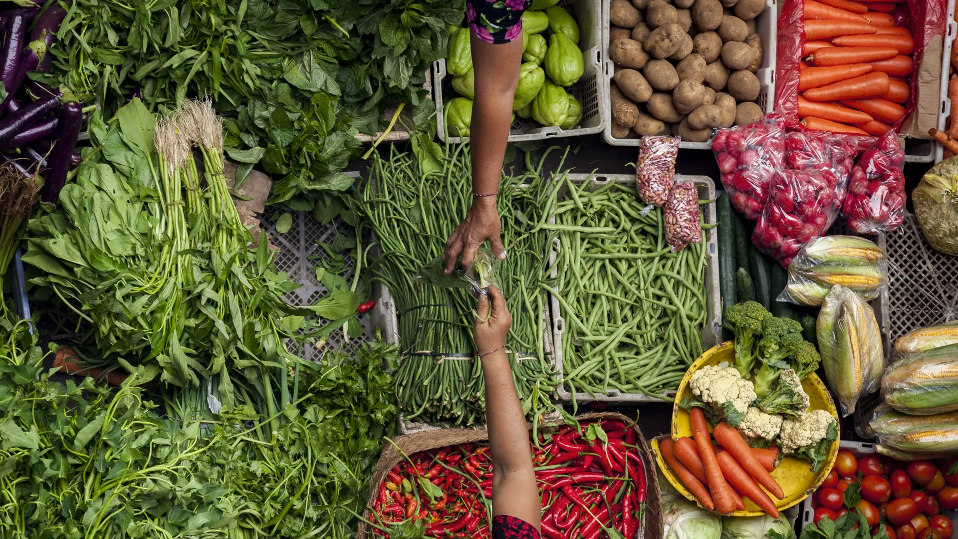 Shutterstock 578631256