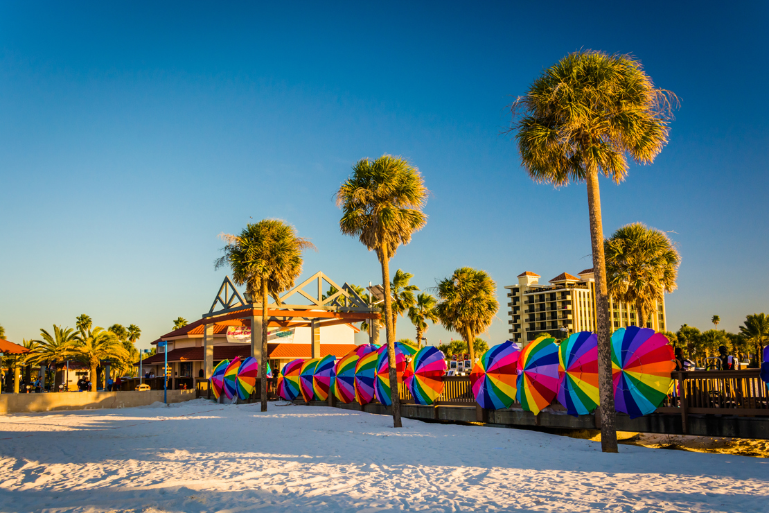 Shutterstock 238059493Palm Trees And Colorful Beach Umbrellas In Clearwater Beach, Florida.
