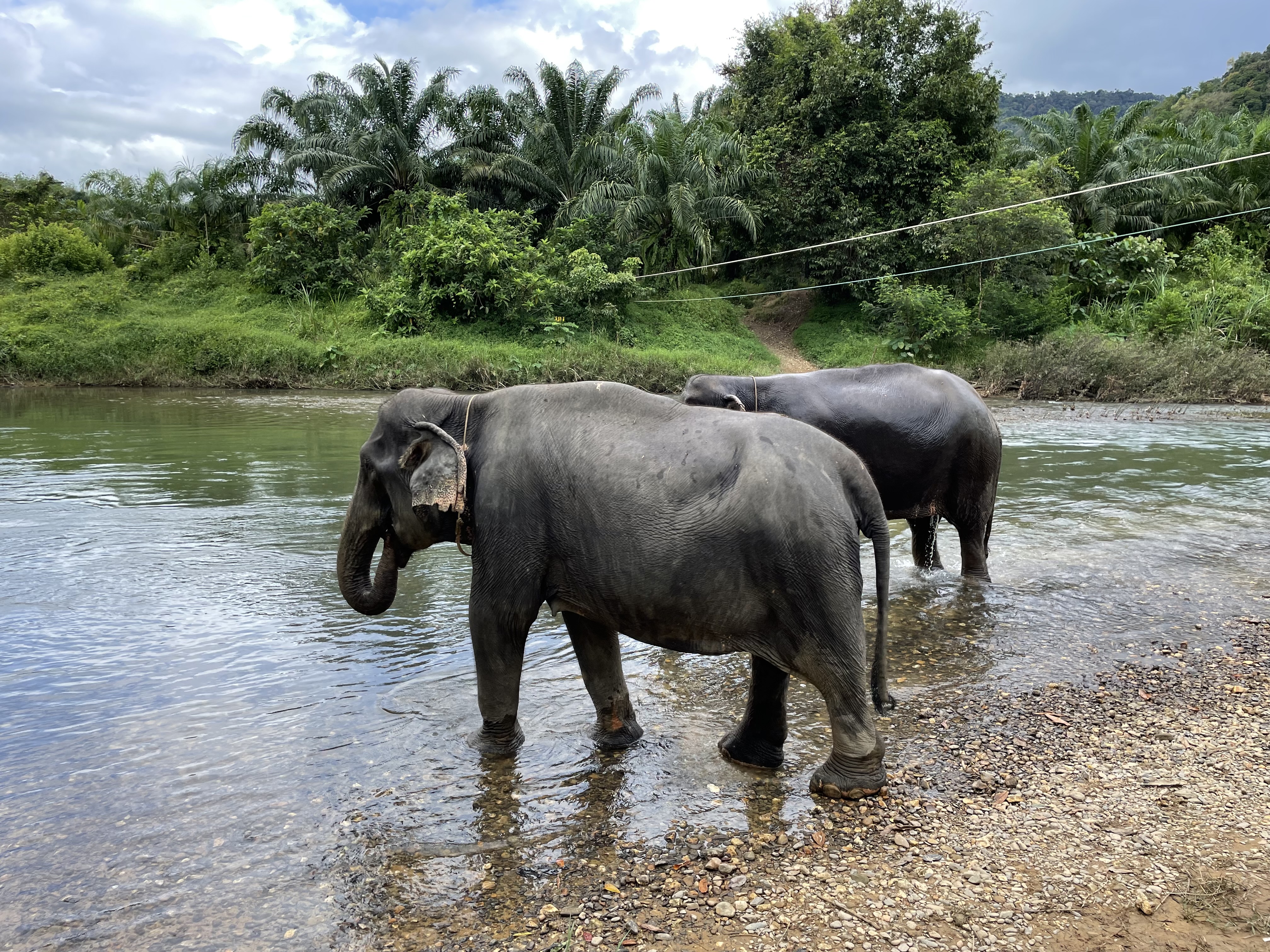 Khao Sok Boutique Camp (23)