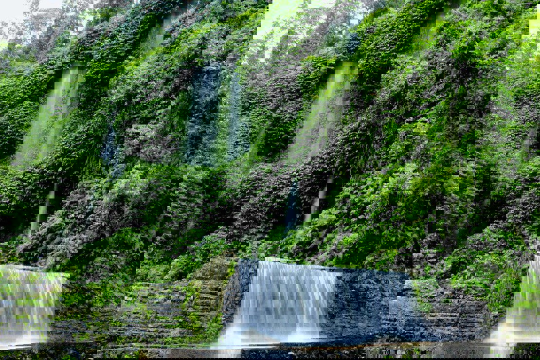 778454A0 06D5 11Ea B14d Efa29a2dac68 1573732449 Large