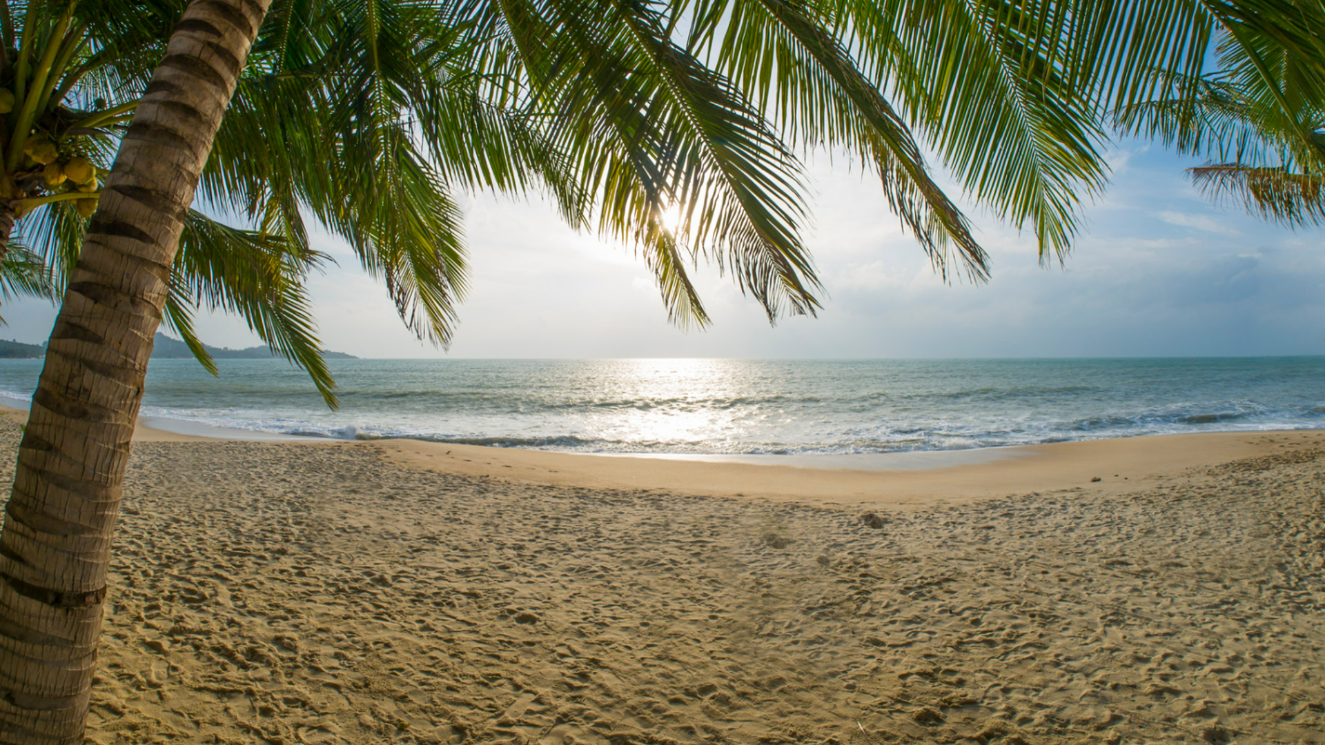 Lamai Beach
