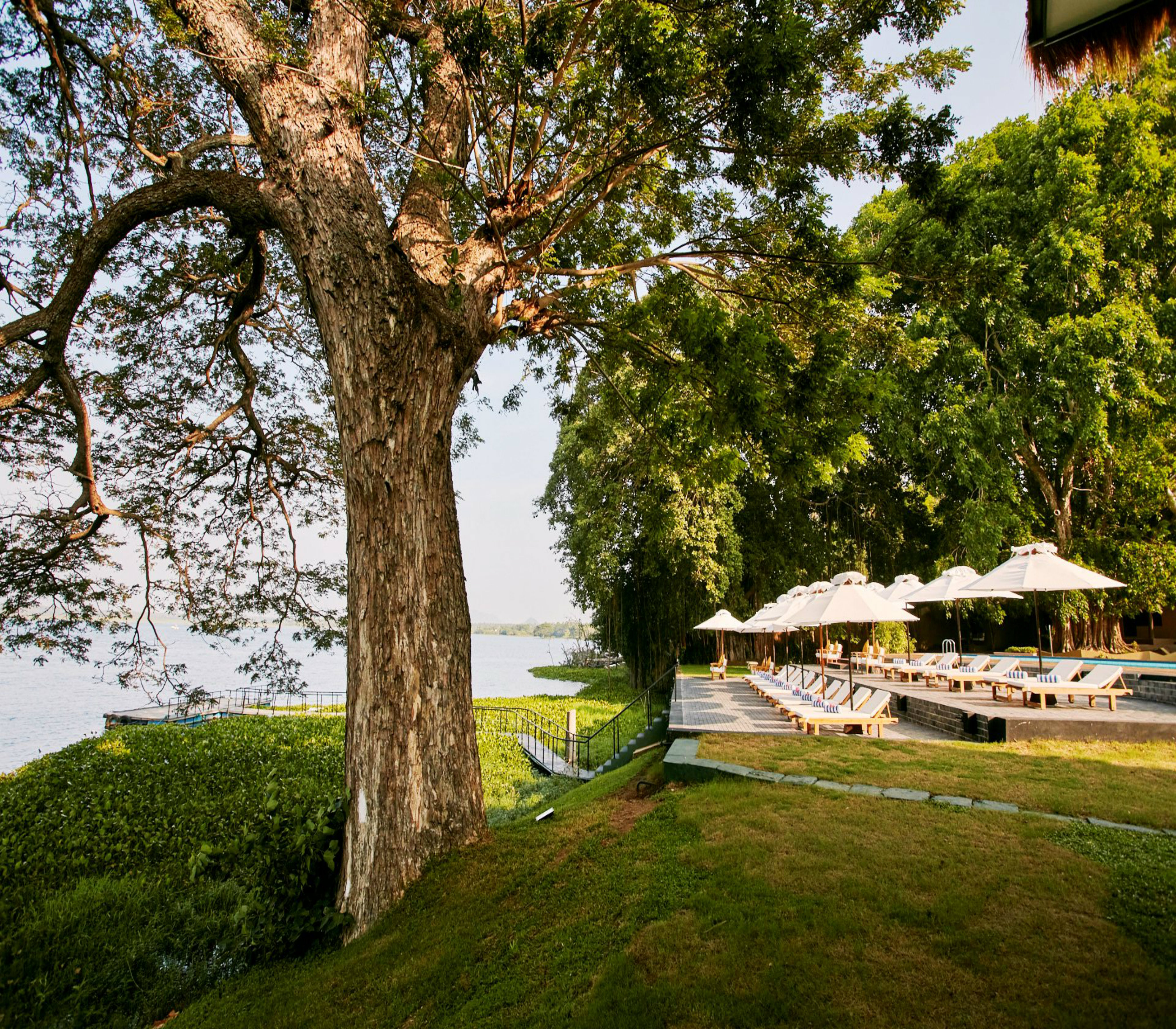 059Preview Devaka Seneviratne MG 4389