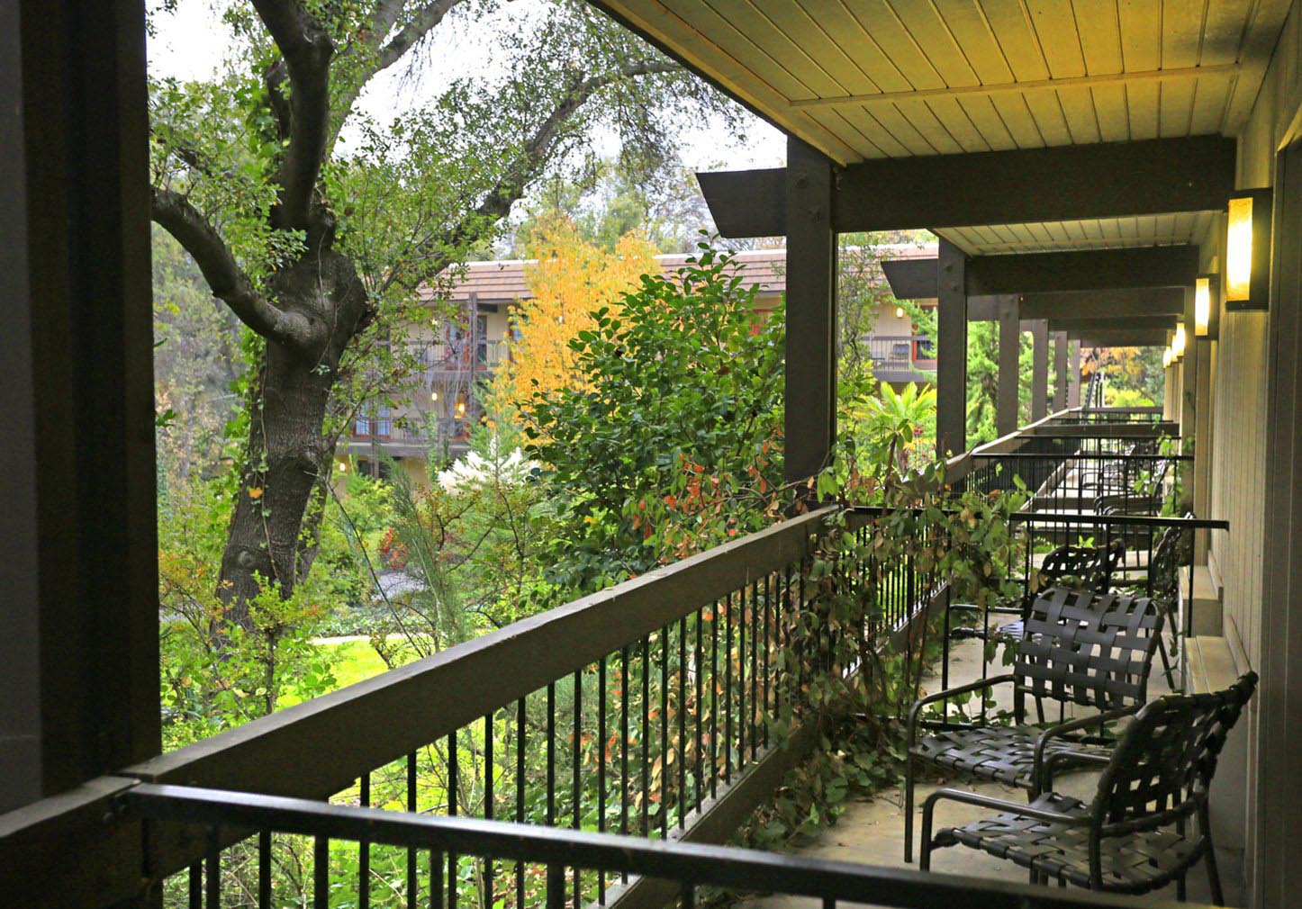 Best Western Plus Yosemite Gateway Inn*** 1