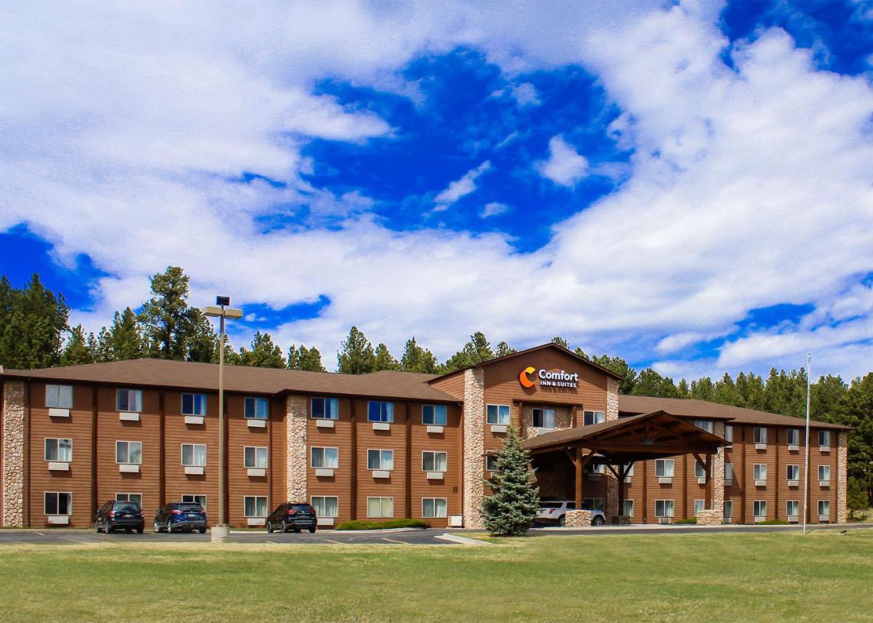 Comfort Inn & Suites Custer 3