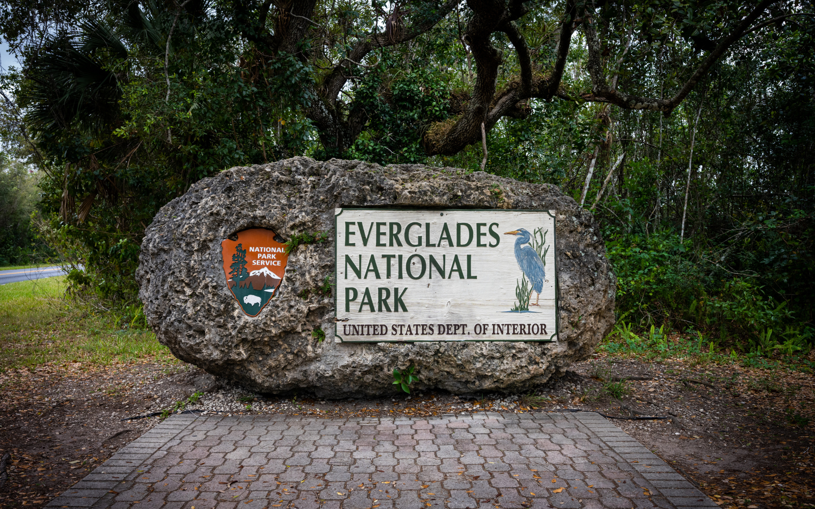 Everglades 3