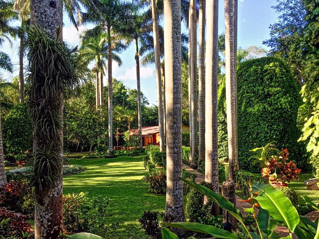 Hacienda Chichen Resort (11)