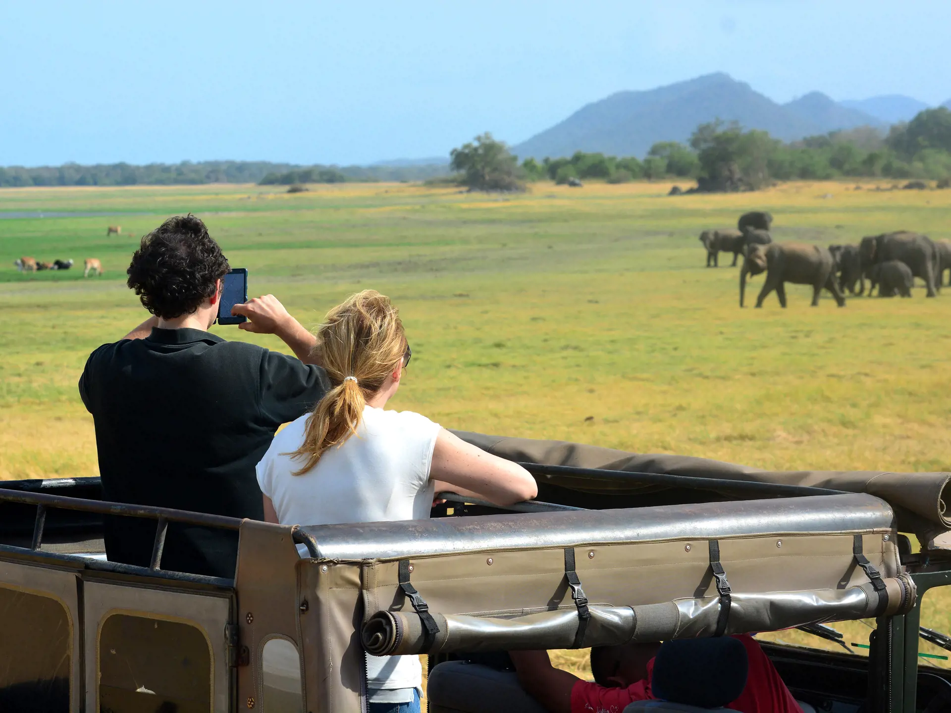 shutterstock_249015388 Tourists in safari jeeps in Minneriya national park in Sri Lanka..jpg