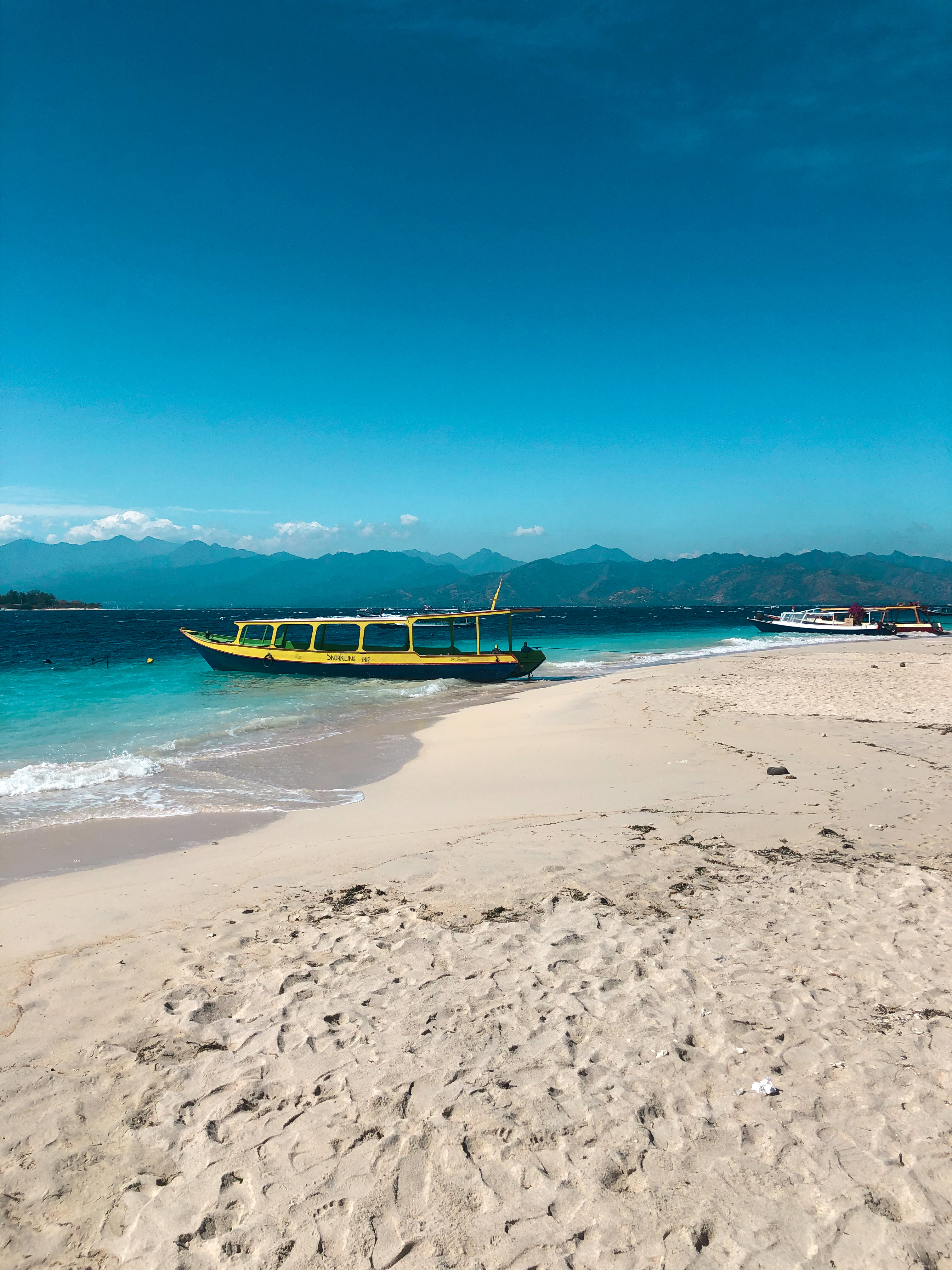 Gili T