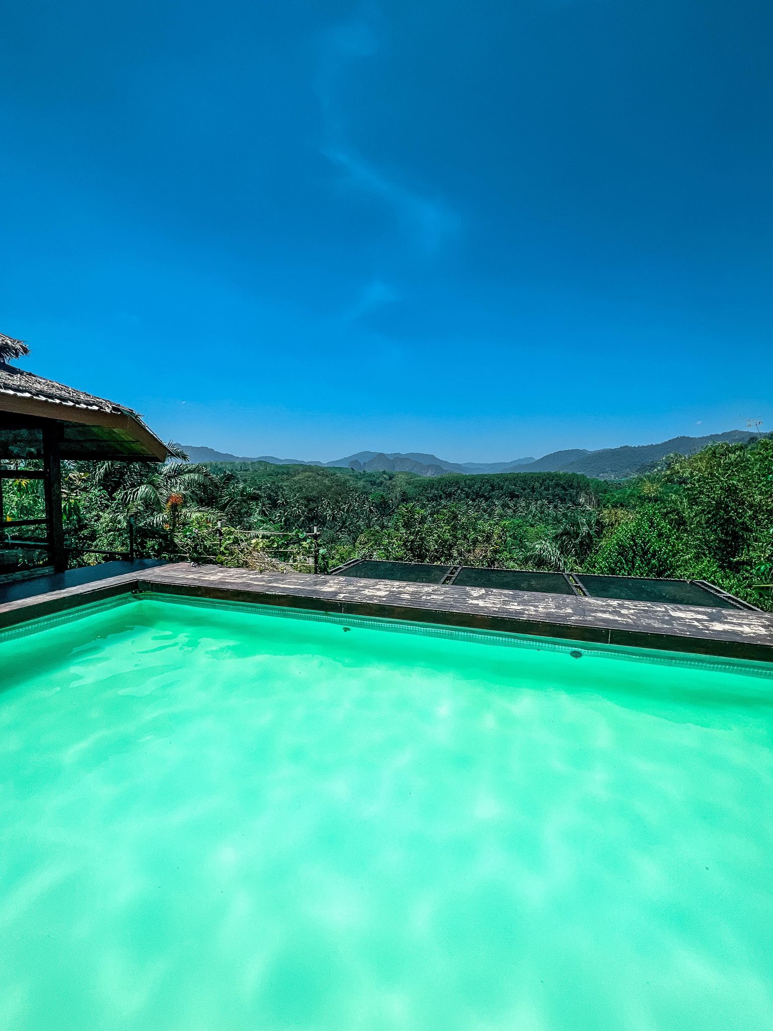 373405371 1267085203993700 1508295215853016504 N