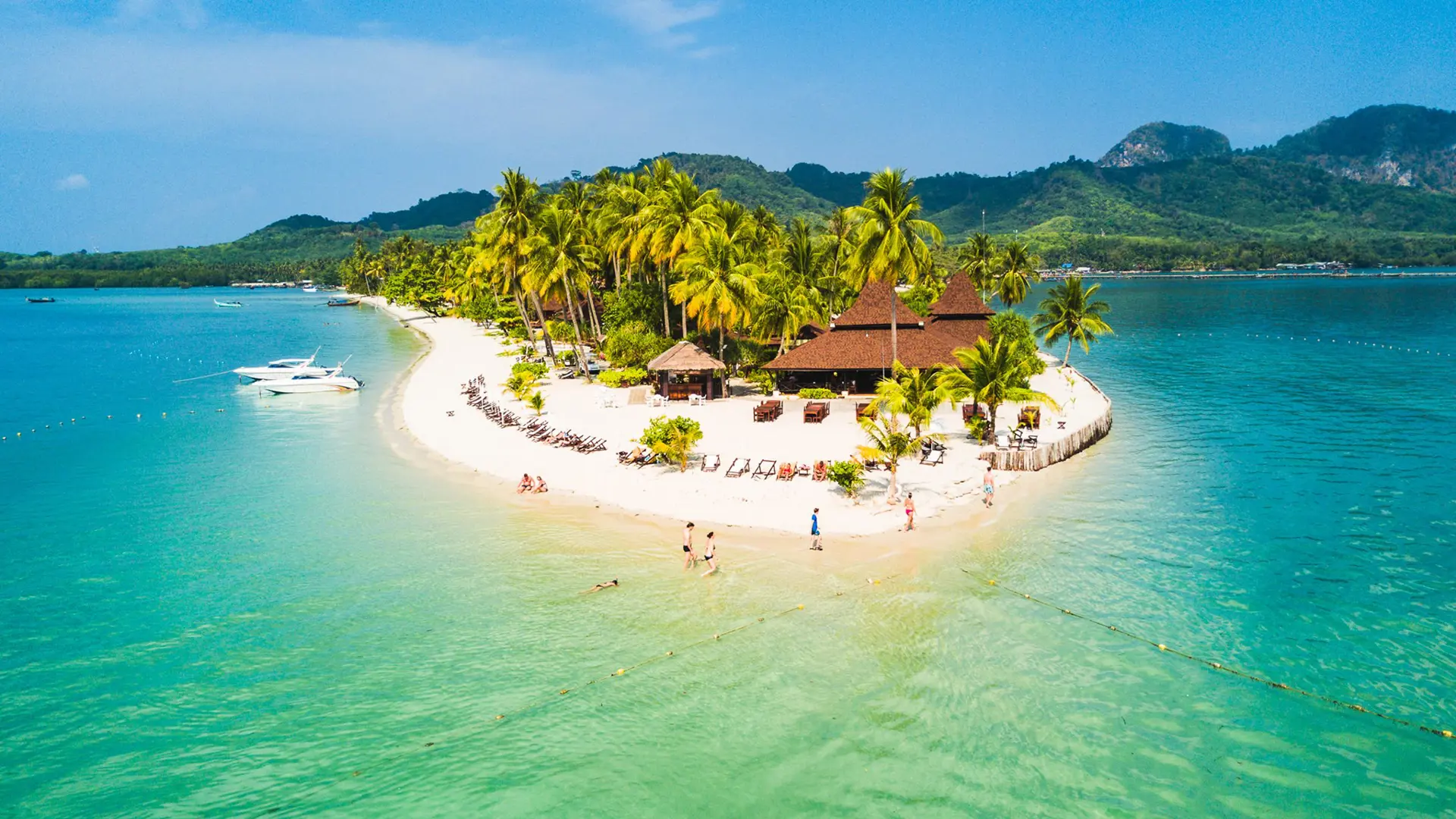 40187731 2250690811613019 3727050517843542016 N