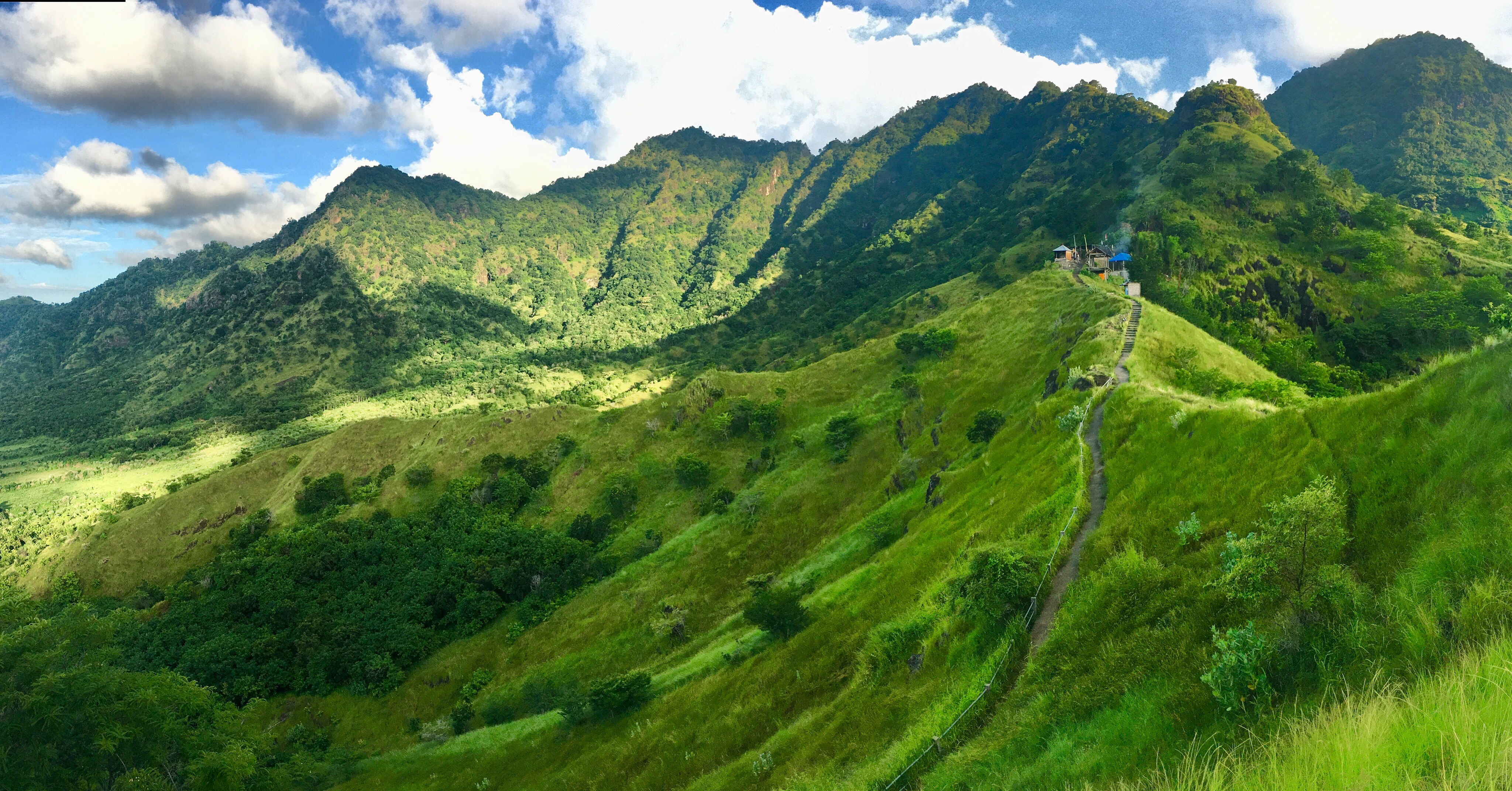 Shutterstock 1363535861