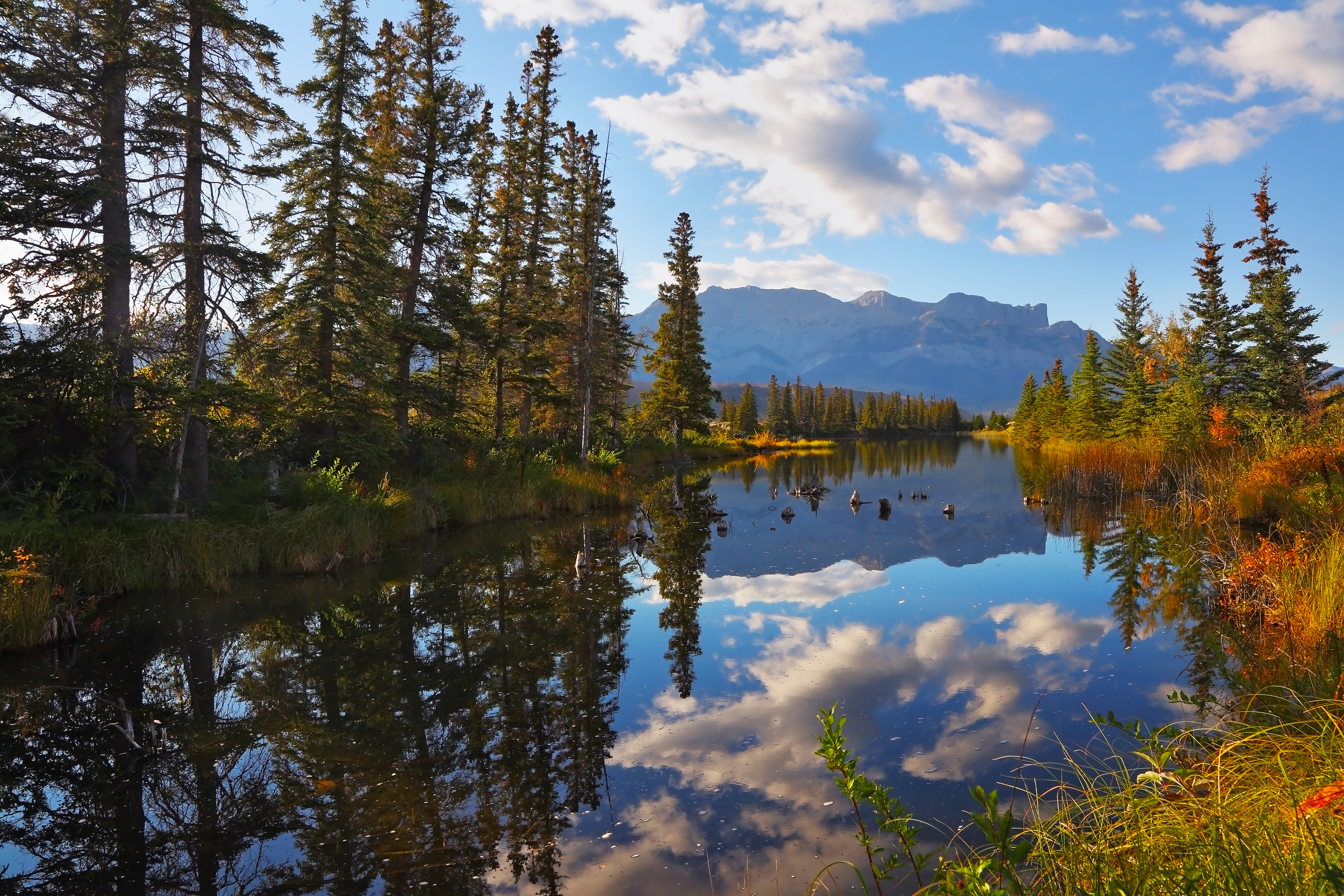 High clouds, early morning on forest lakes Jasper Park in Canada_68101093.jpg