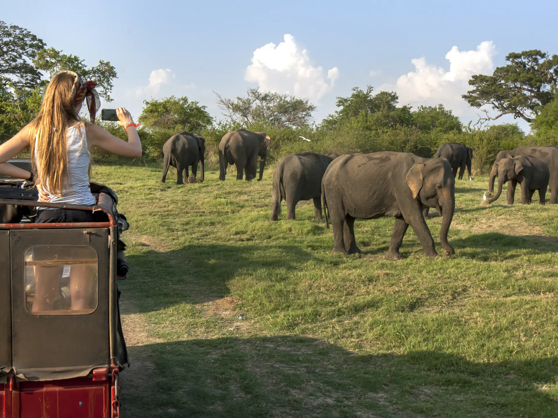 Shutterstock 680953087 (1)